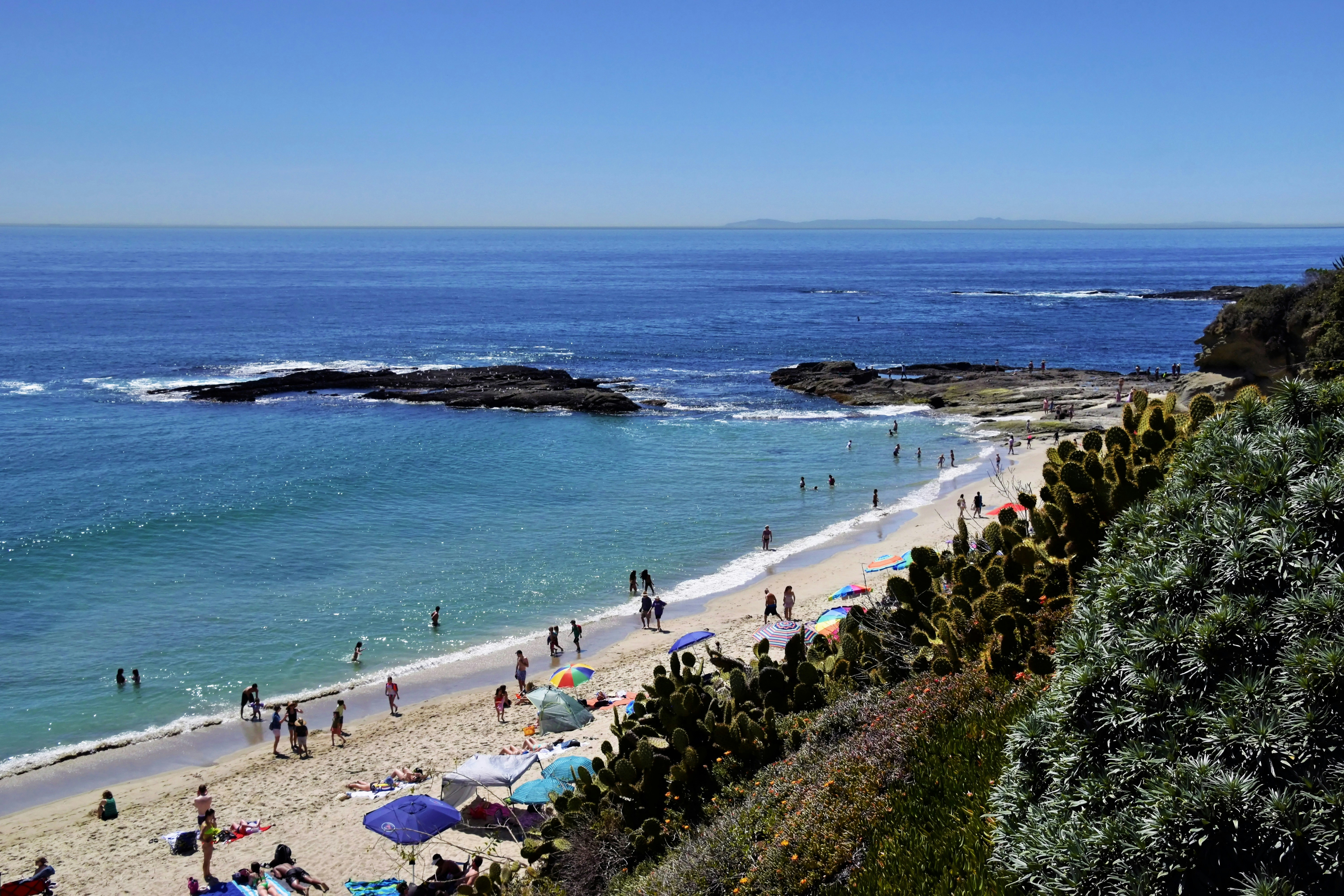 Un gruppo di persone su una spiaggia vicino all'oceano