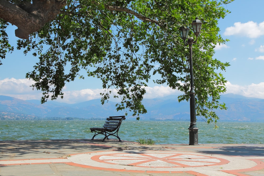 a bench under a tree near the water