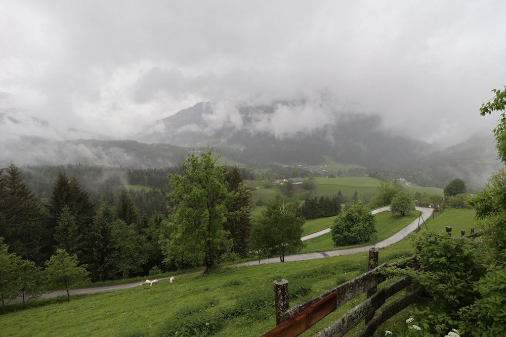 a lush green hillside covered in clouds and trees