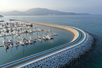 A marina with numerous boats docked along well-constructed piers. The curved breakwater with textured concrete structures encloses the harbor, providing a strong contrast with the calm ocean. The smooth, wide pathway along the breakwater is painted in shades of blue and gray, stretching out towards the horizon. Distant mountains and a tranquil seascape create a serene backdrop.
