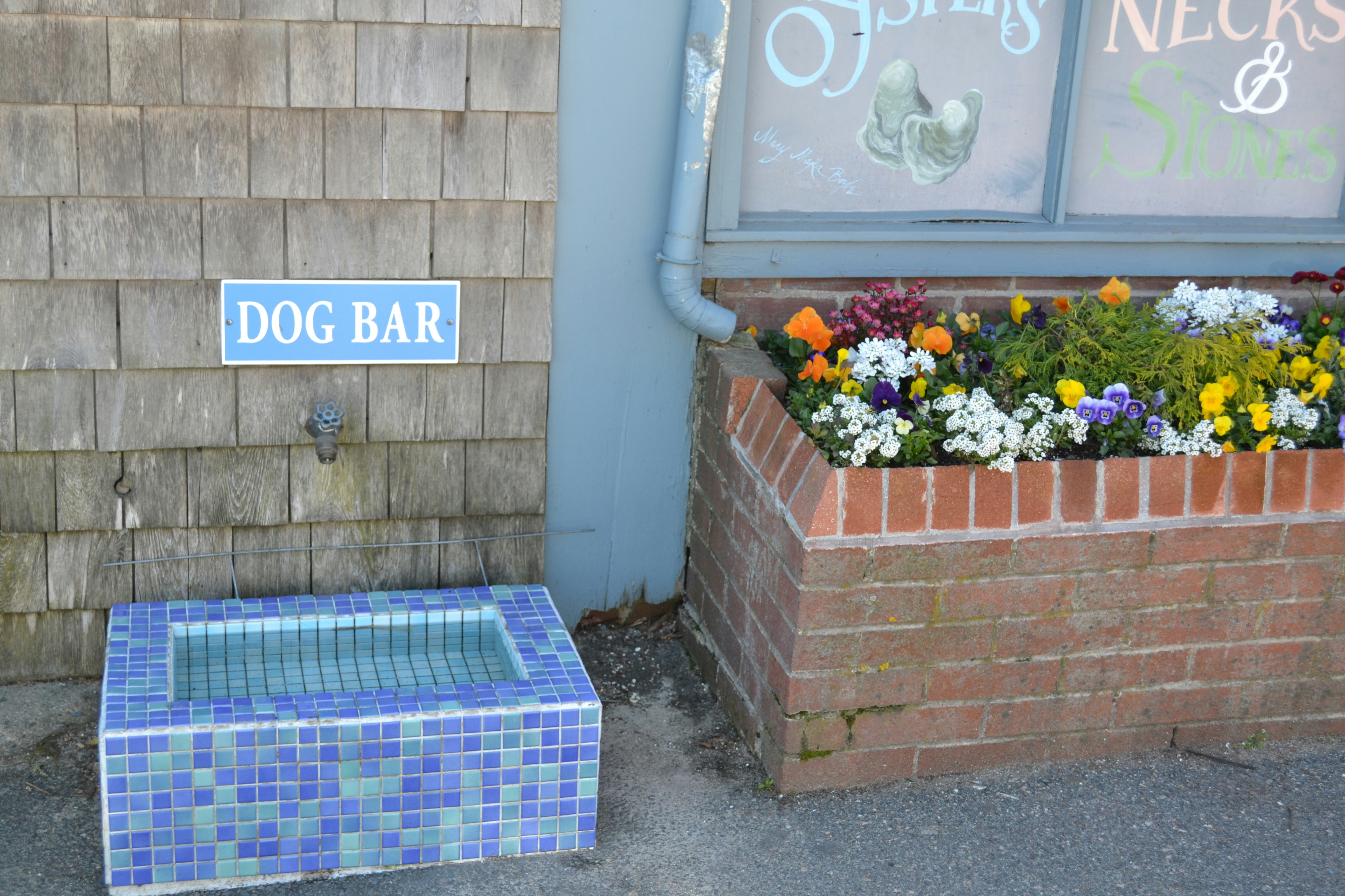 A shaded pet relief area with a water station, providing a cool spot for pets in hot weather. - pet friendly apartments in las vegas nevada