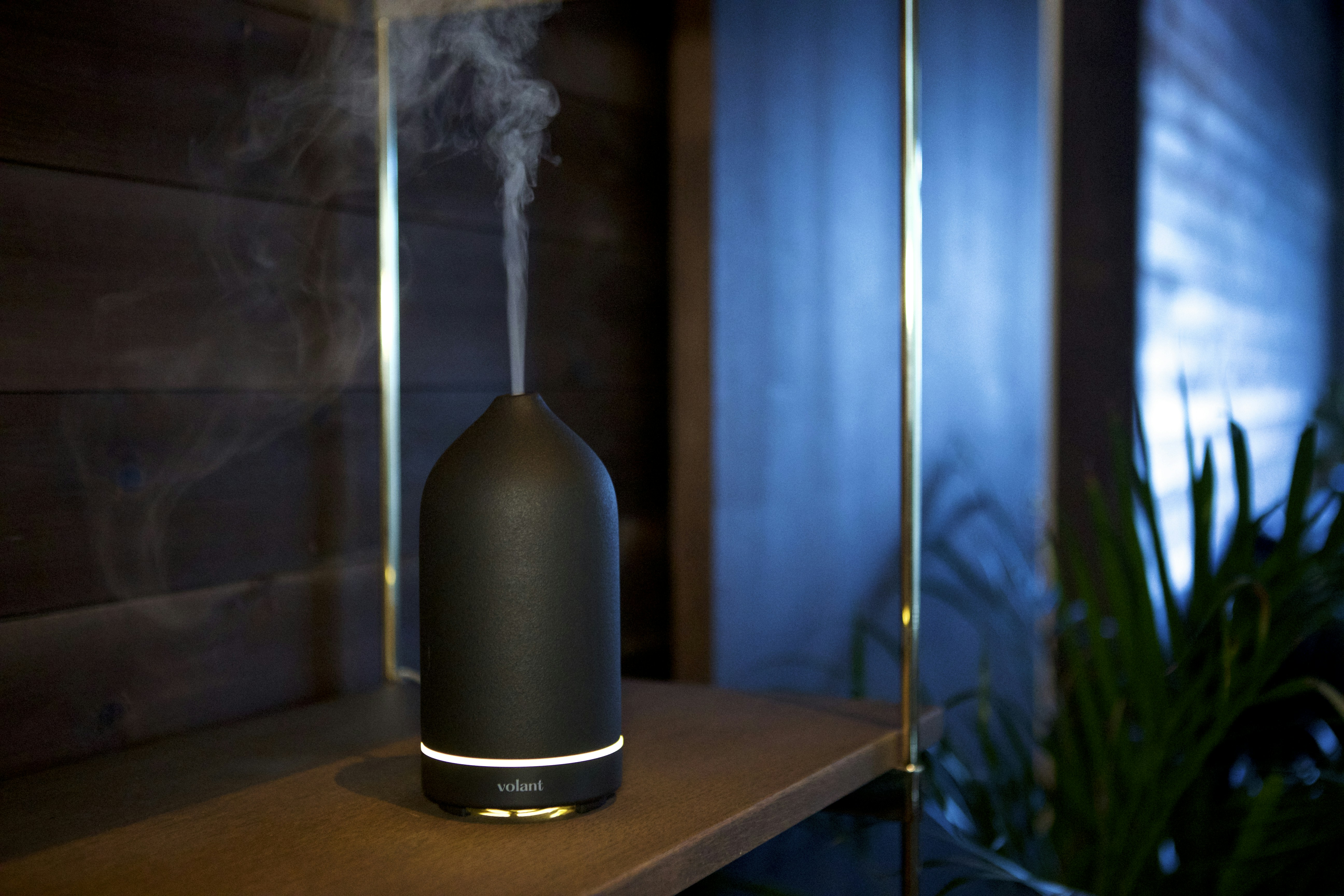 Photo by volantaroma