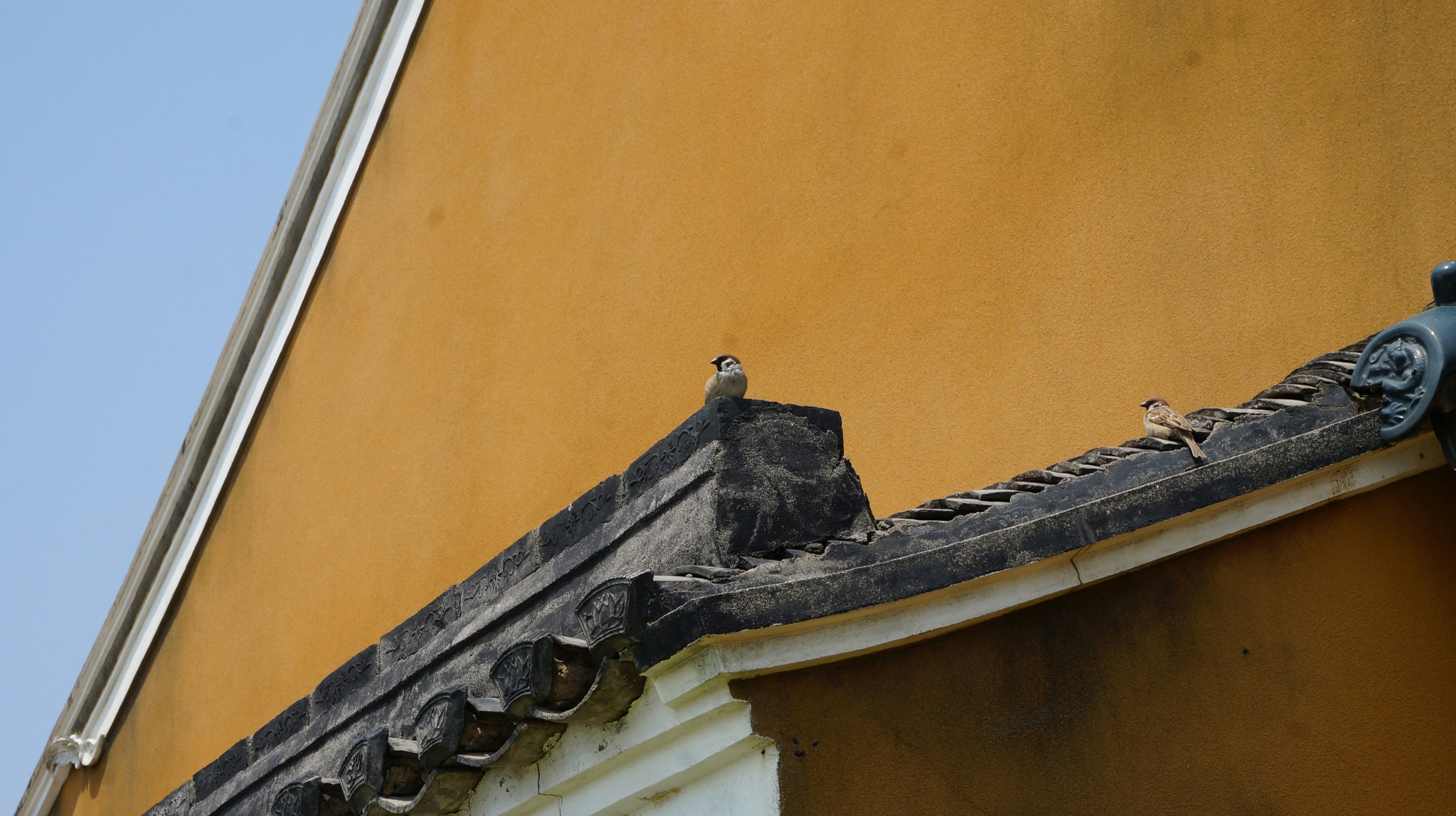 Ninja House Hyannis Menu