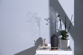A serene tabletop scene includes a small white tray holding a ceramic rabbit toy, a book, a black cylindrical diffuser emitting mist, and a white pot with an orchid plant. The arrangement is lit by a gentle sunlight filtering through blinds, casting soft shadows on the wall.