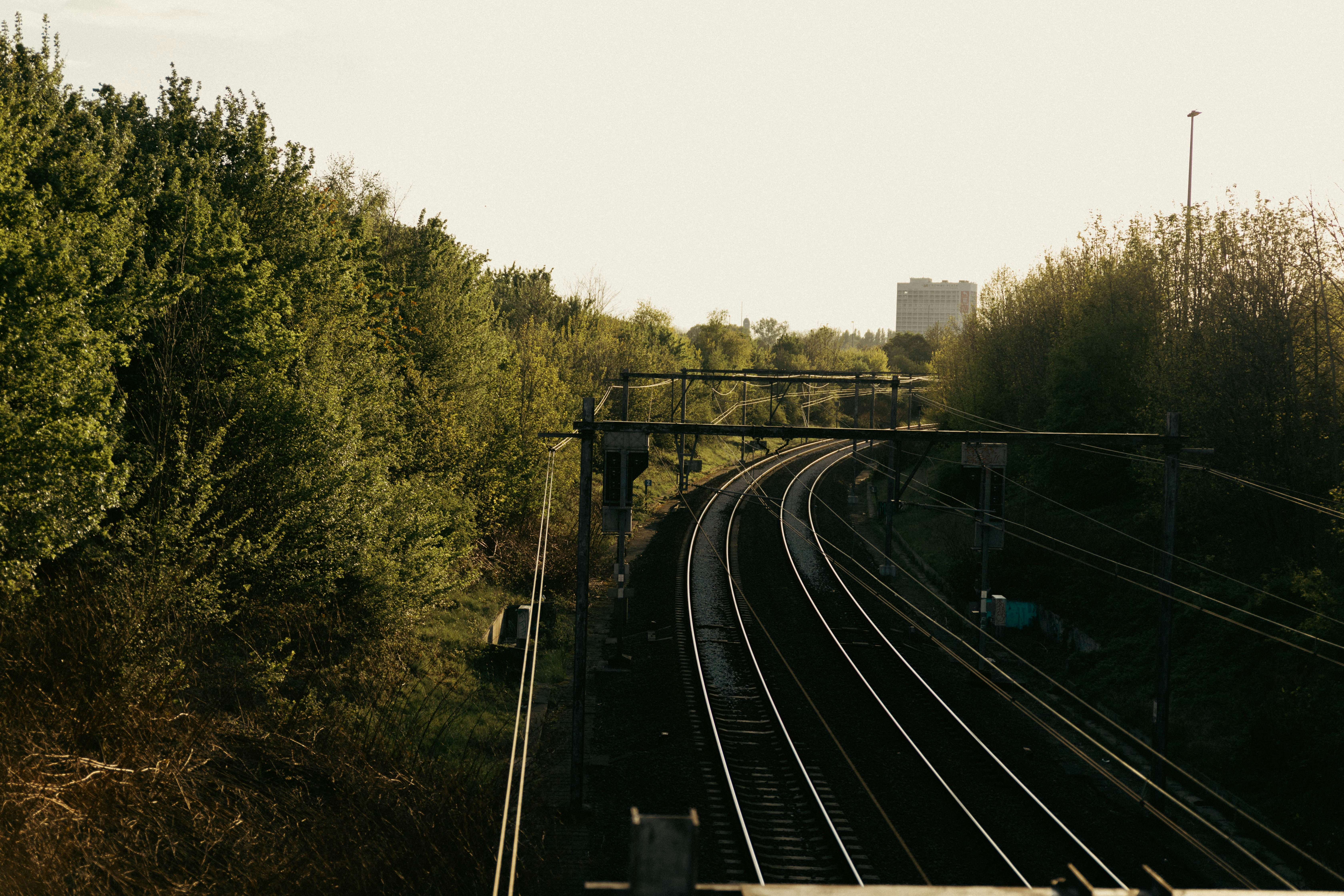 a train track running through a wooded area