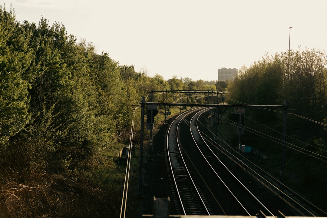 Afbeelding van Berchem