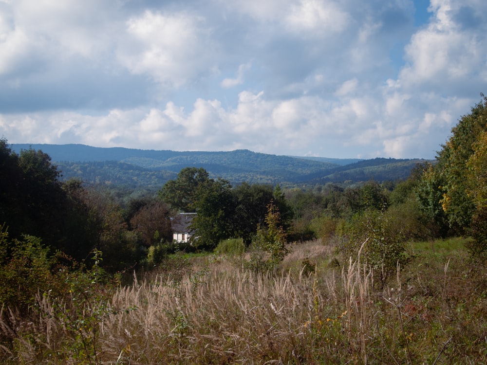 a house in the middle of a field with mountains in the background