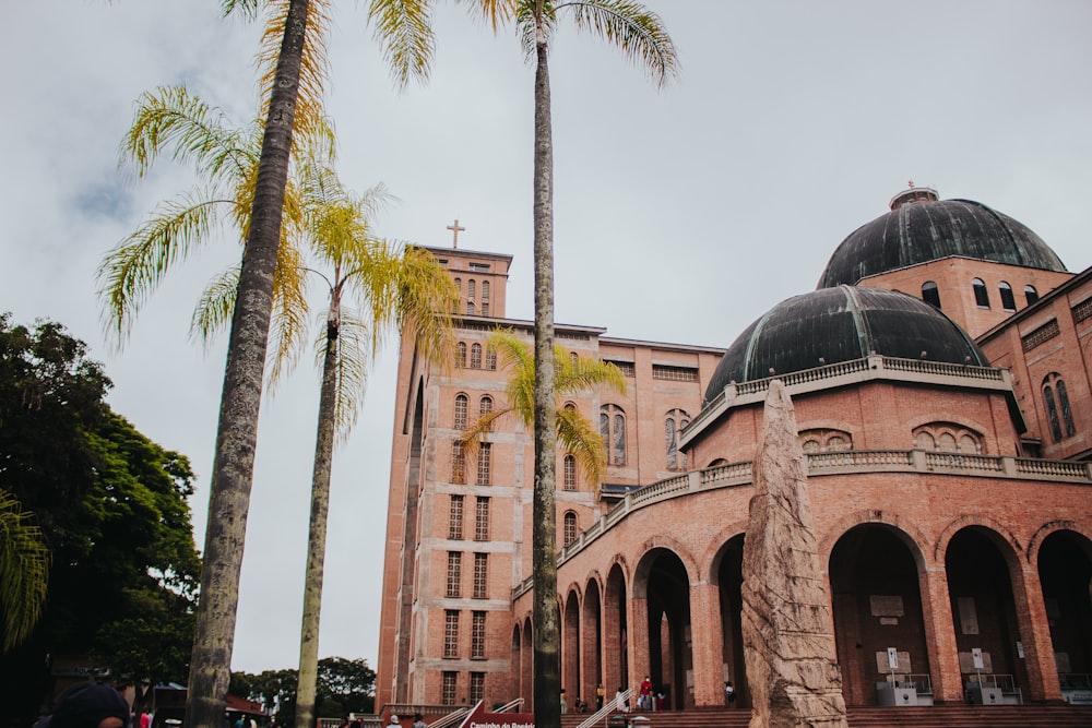 a large building with a palm tree in front of it