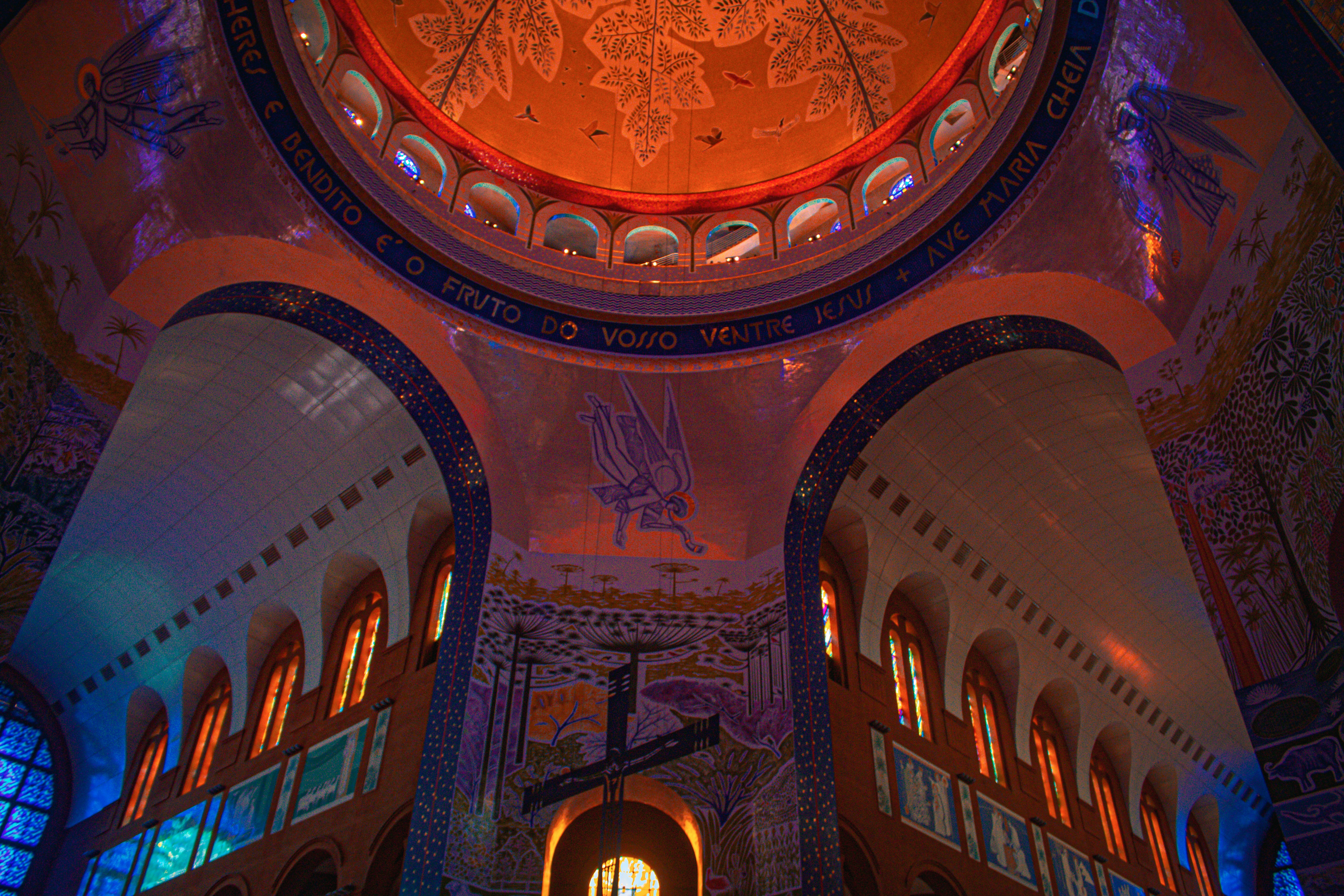 Photo by damagoncalves