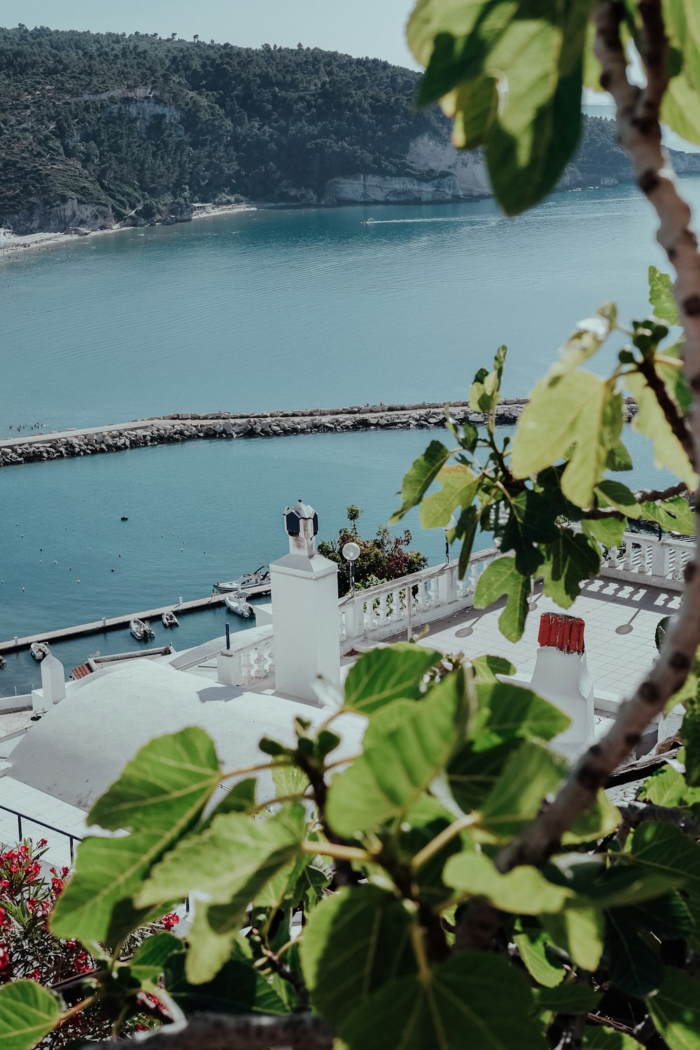 a large body of water sitting next to a lush green hillside