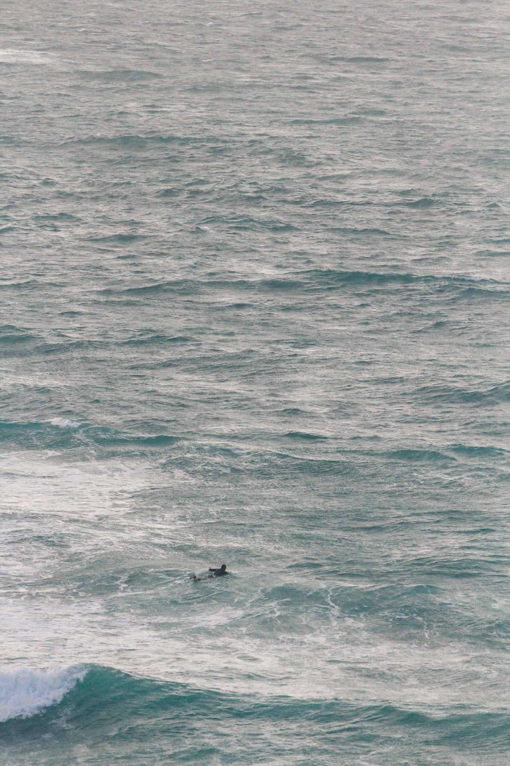 海の波の上にサーフボードに乗る男