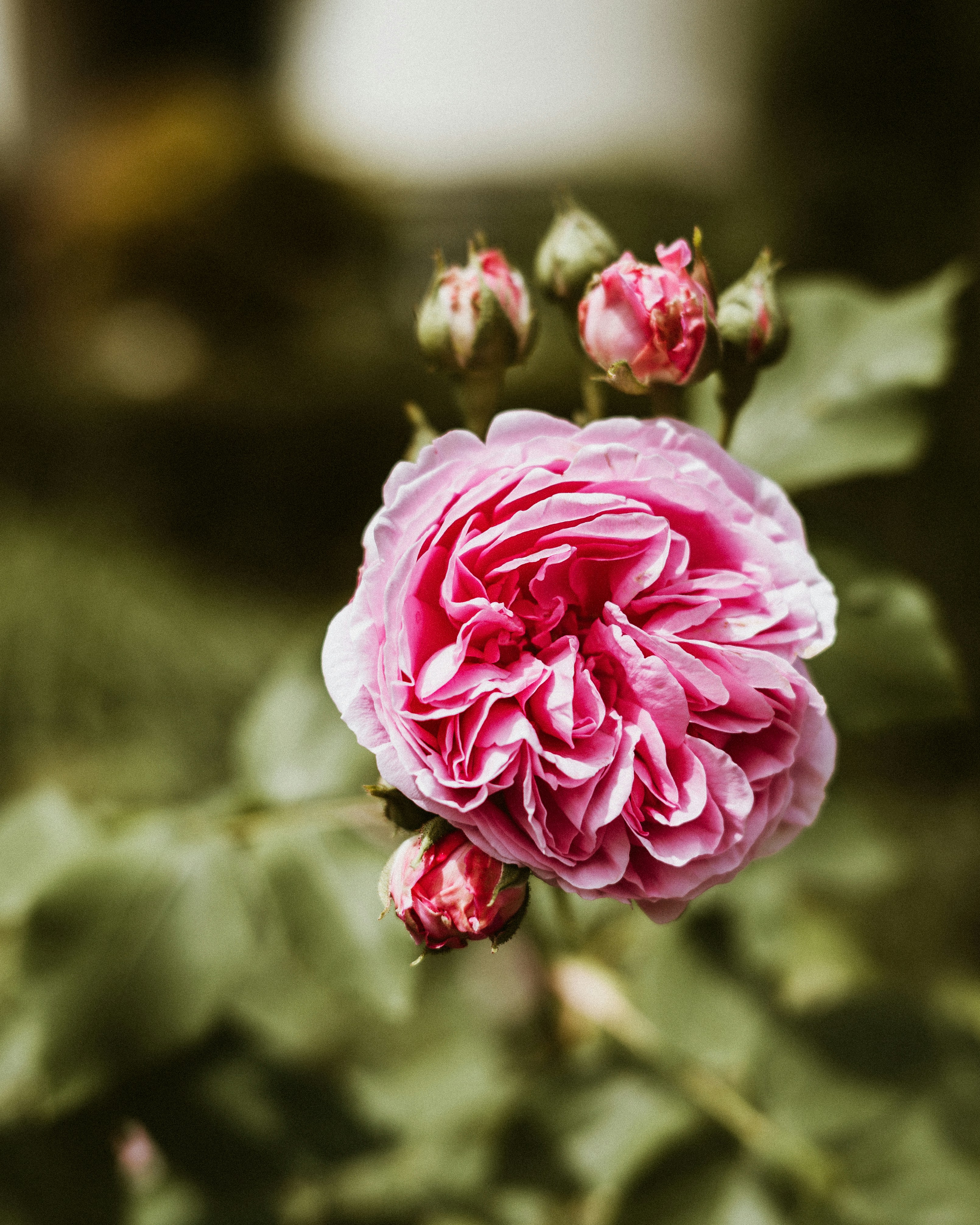 Photo by hempthechamp