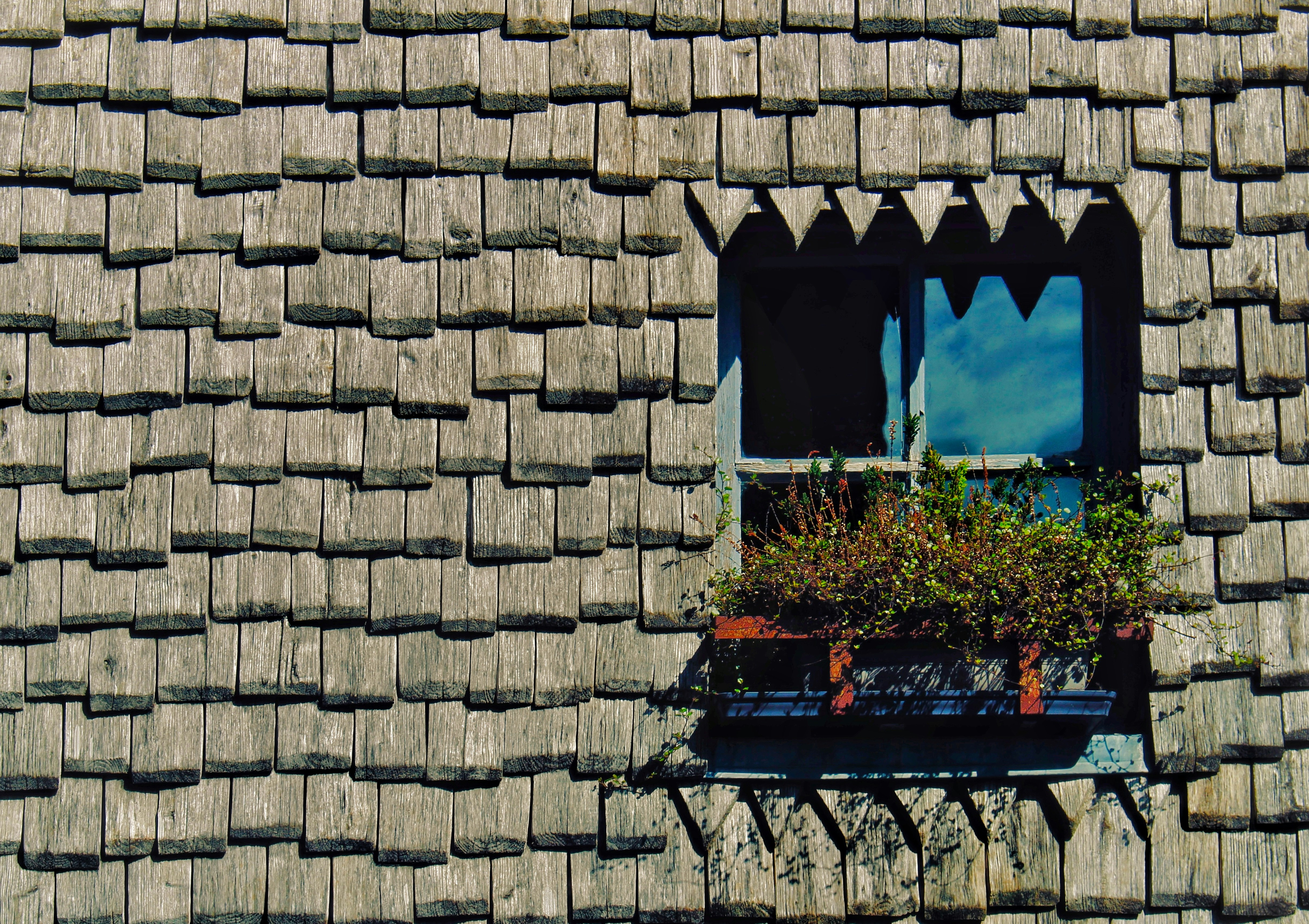 Roofer