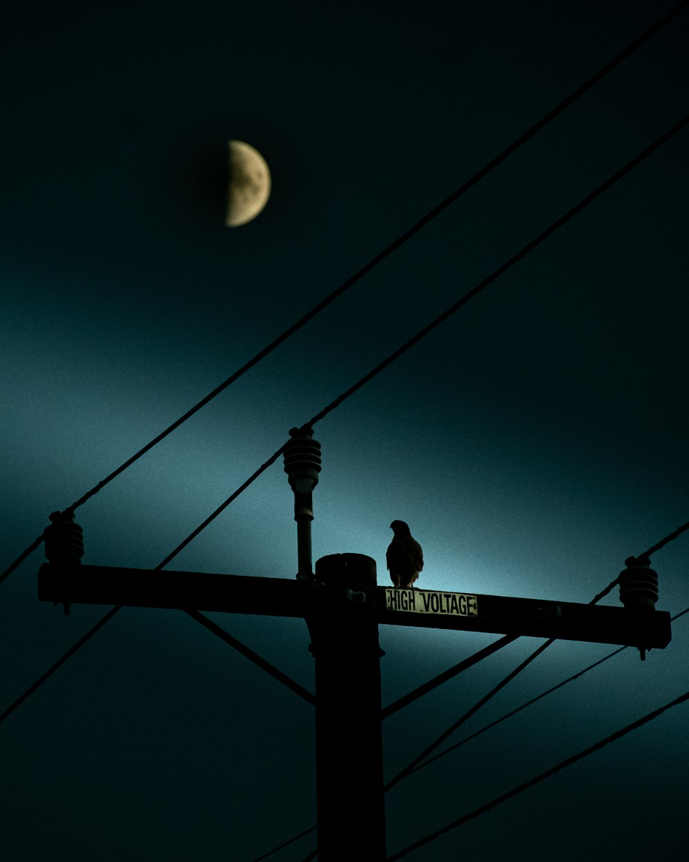 a couple of birds sitting on top of a power line