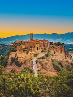 a castle on top of a hill surrounded by trees