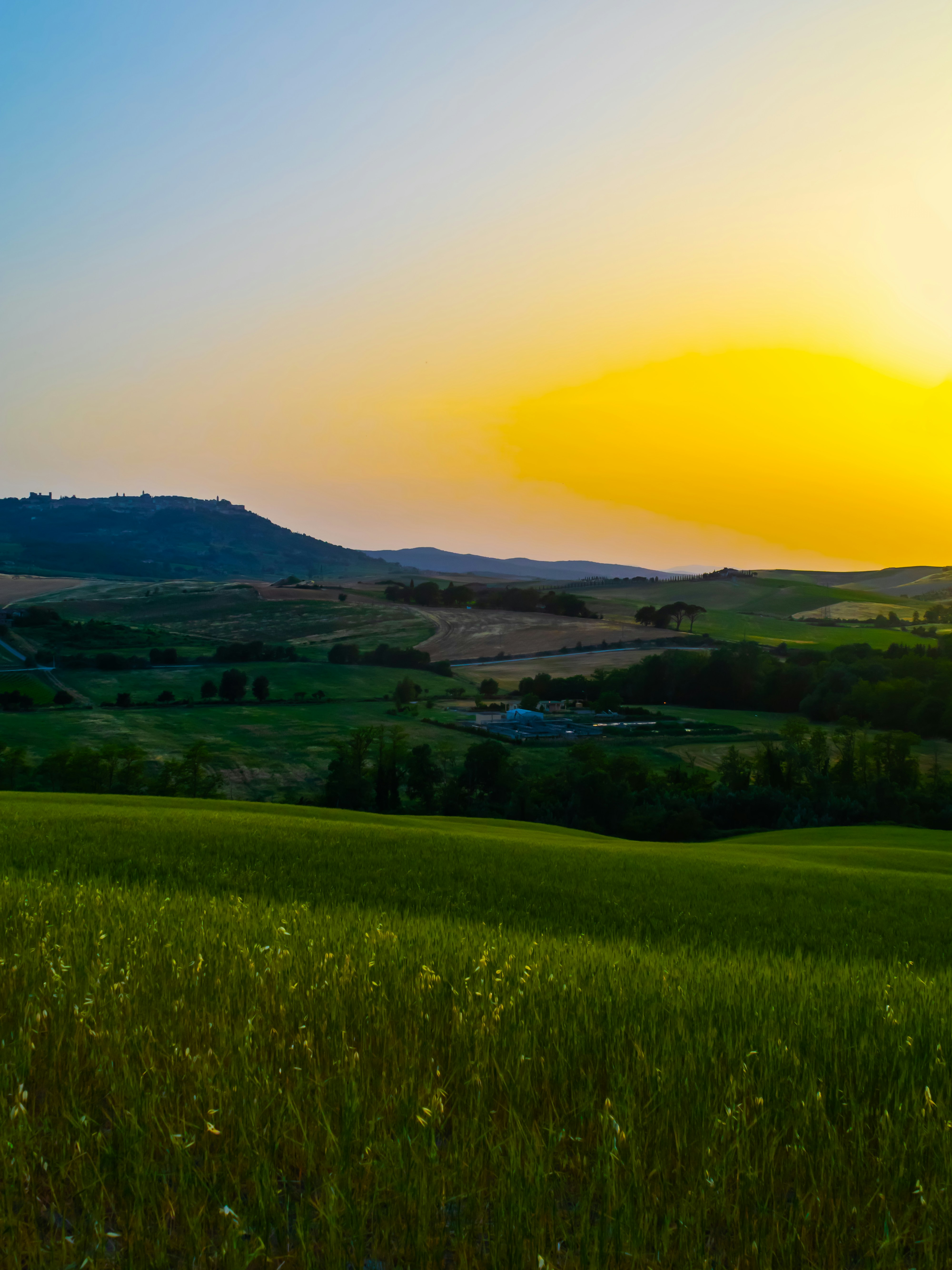 Photo by merlin_photo