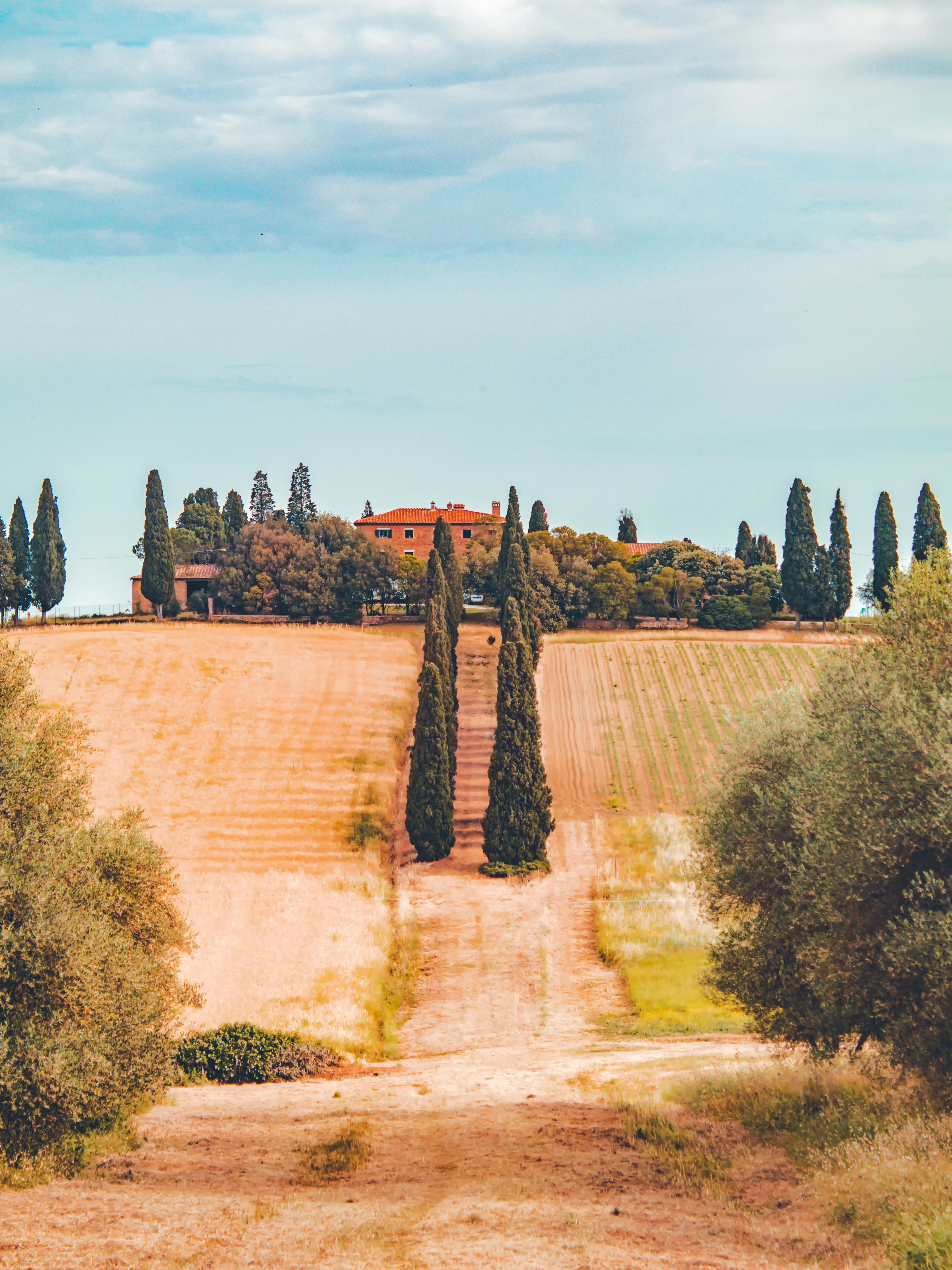 Photo by merlin_photo