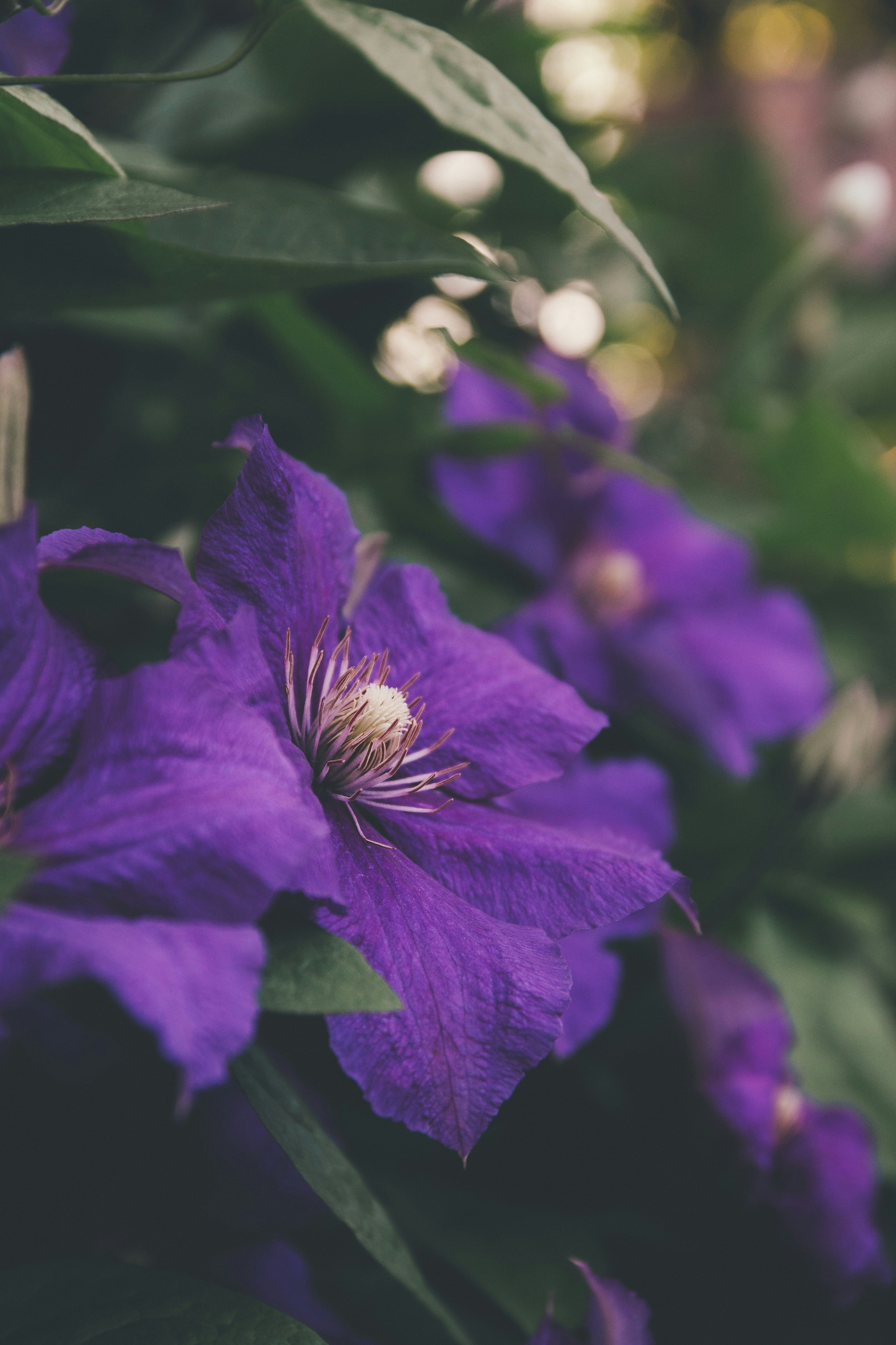 Photo by onmywayhome