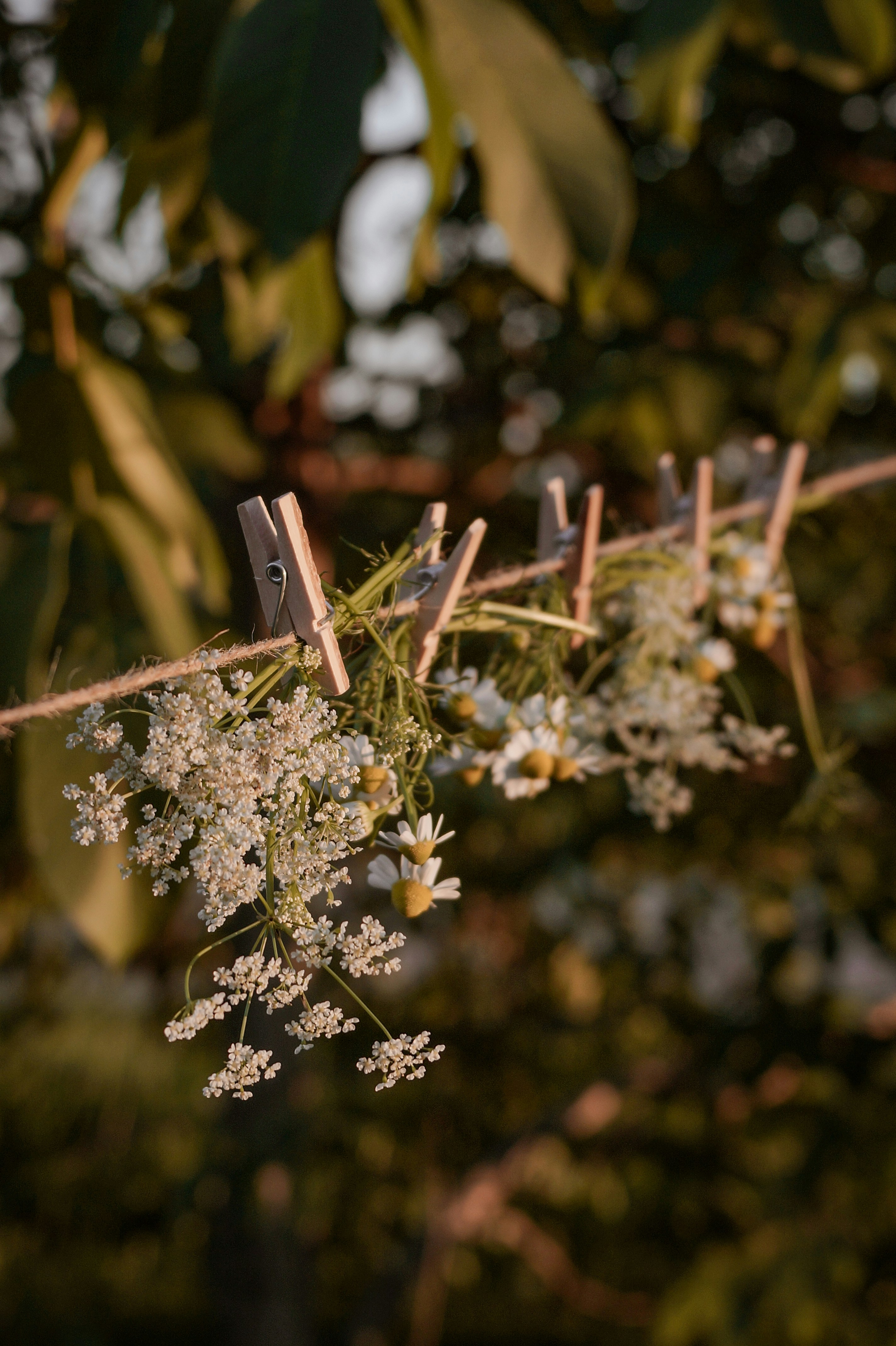 Photo by valentine_ivanova