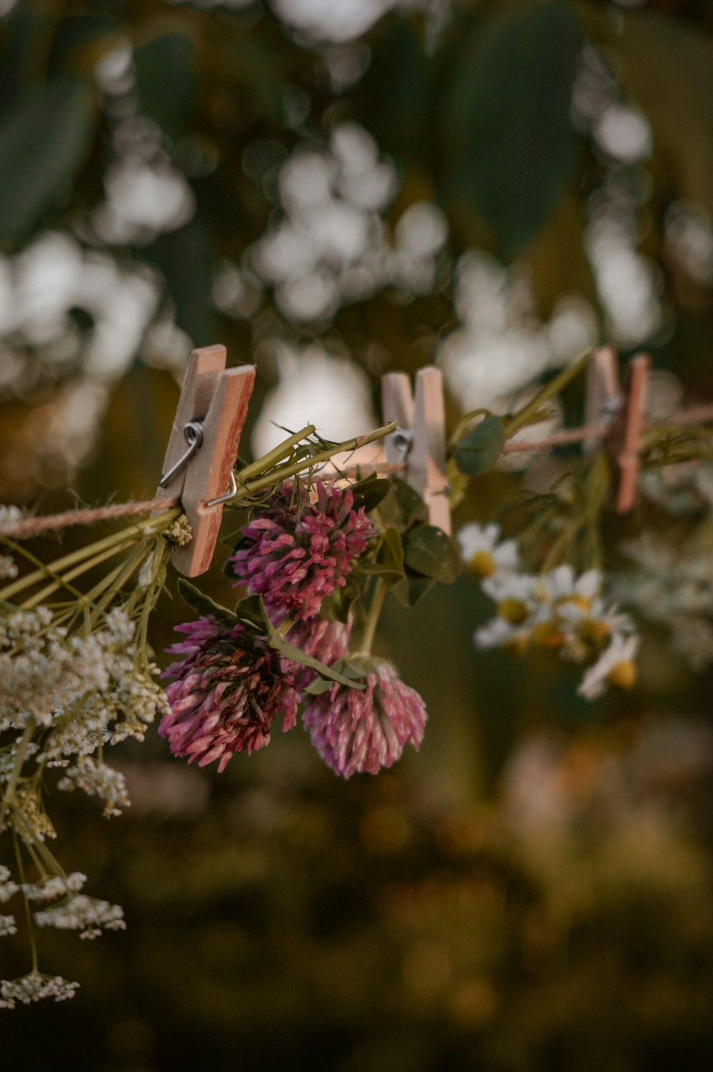 a bunch of flowers hanging from a clothes line