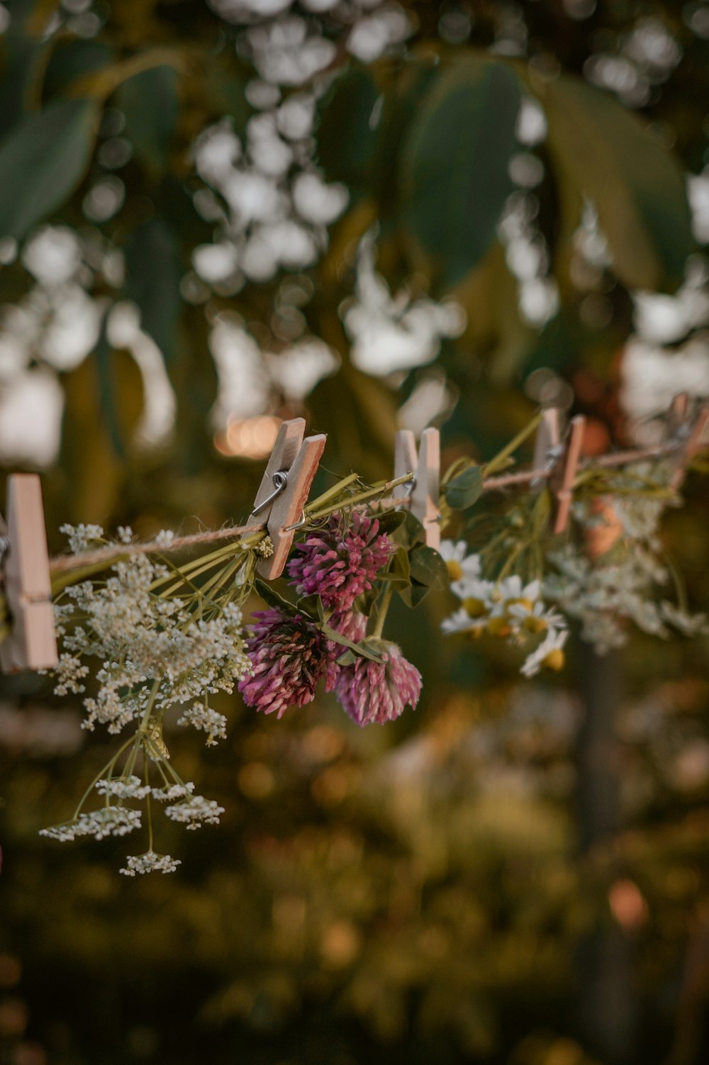 a bunch of flowers hanging from a clothes line