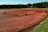 People are working in a cranberry bog, using tools to gather floating cranberries. The bog is covered with a dense layer of red cranberries, surrounded by green grass and trees in the background. The sky is clear and blue, suggesting a sunny day.