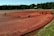 People are working in a cranberry bog, using tools to gather floating cranberries. The bog is covered with a dense layer of red cranberries, surrounded by green grass and trees in the background. The sky is clear and blue, suggesting a sunny day.