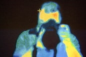 Technician performing thermal imaging inspection on electrical equipment.