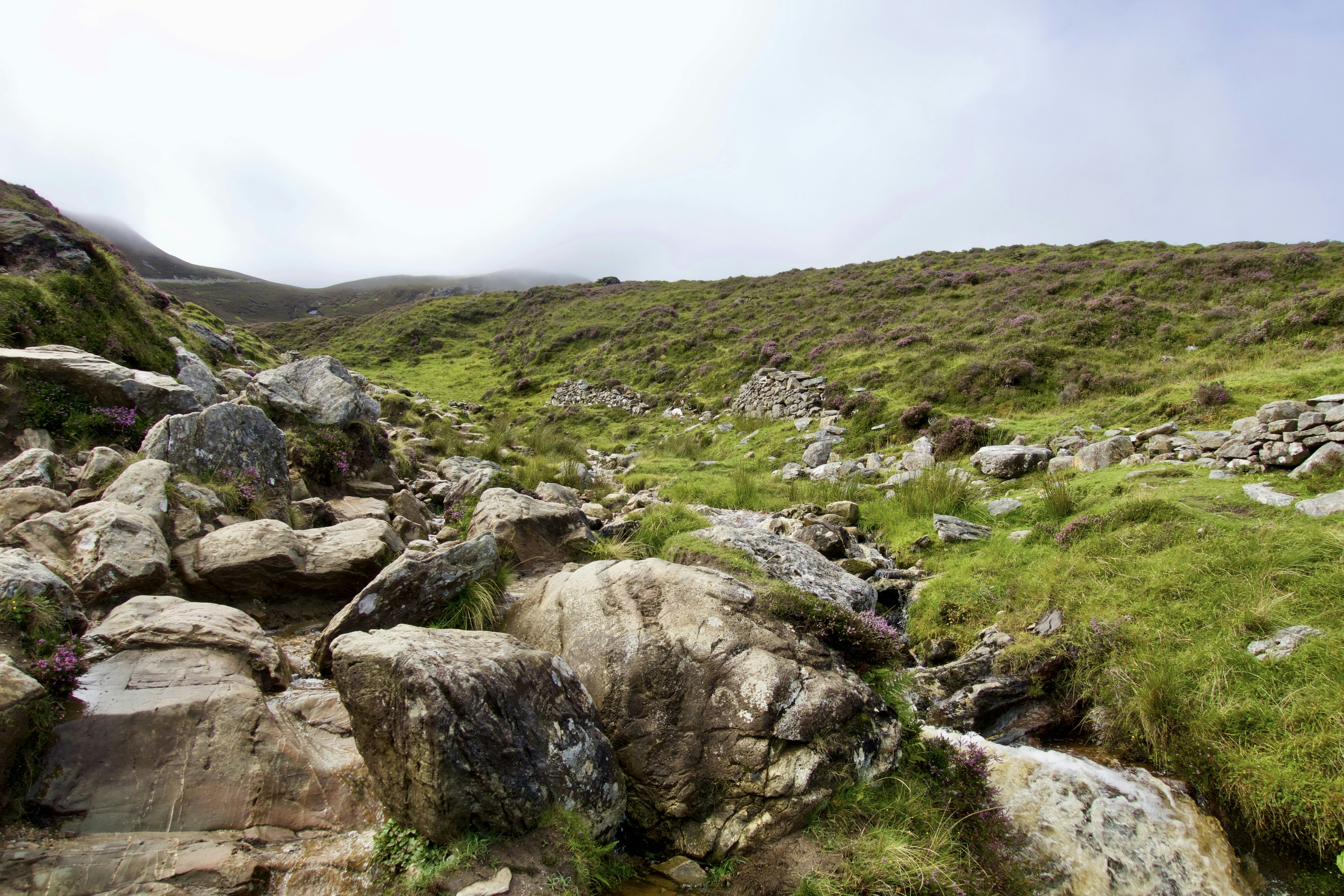 Photo by maksimdesign