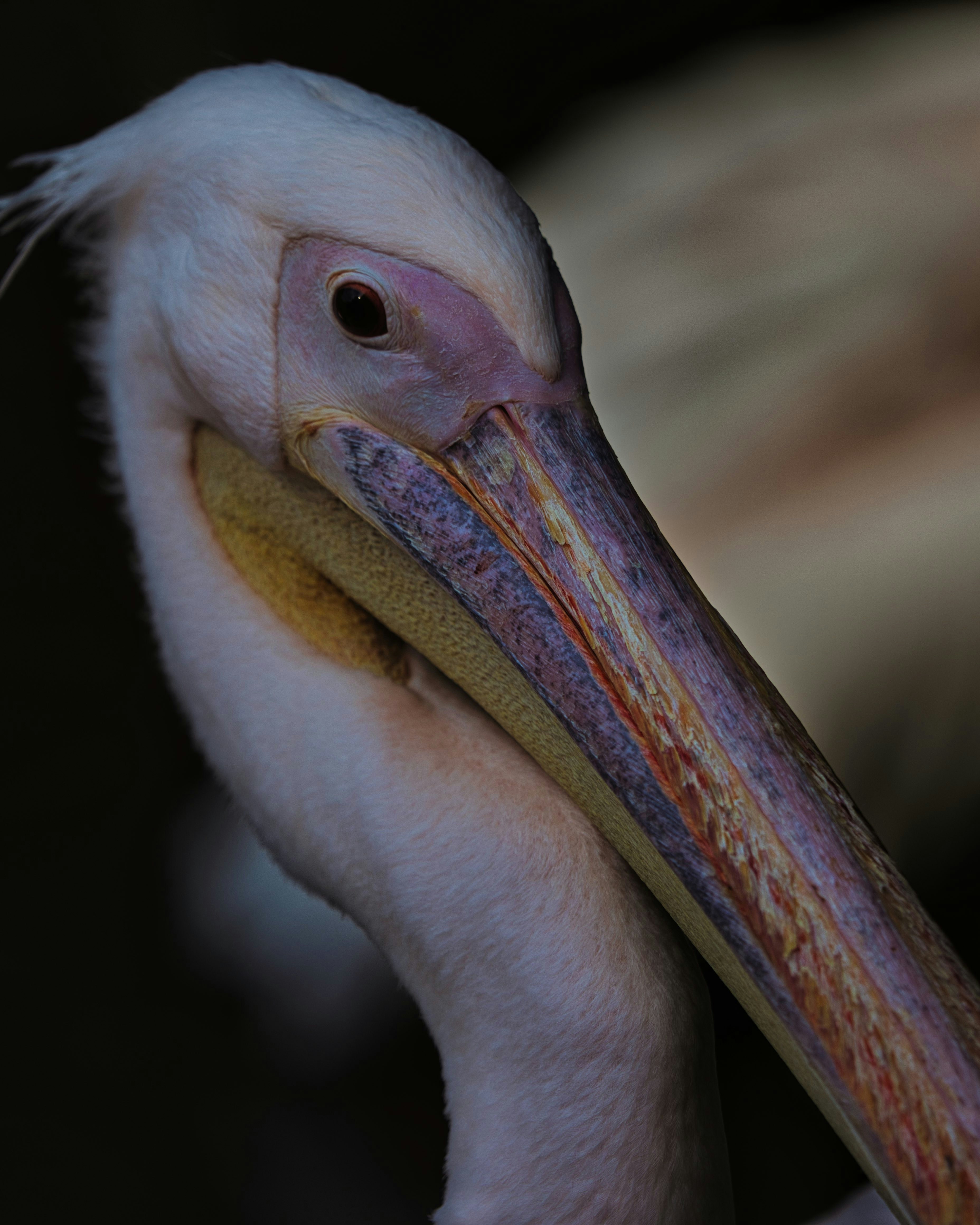 Photo by what_is_up_caribe