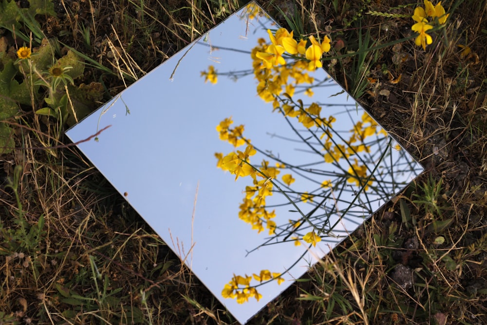 a mirror sitting in the grass with yellow flowers