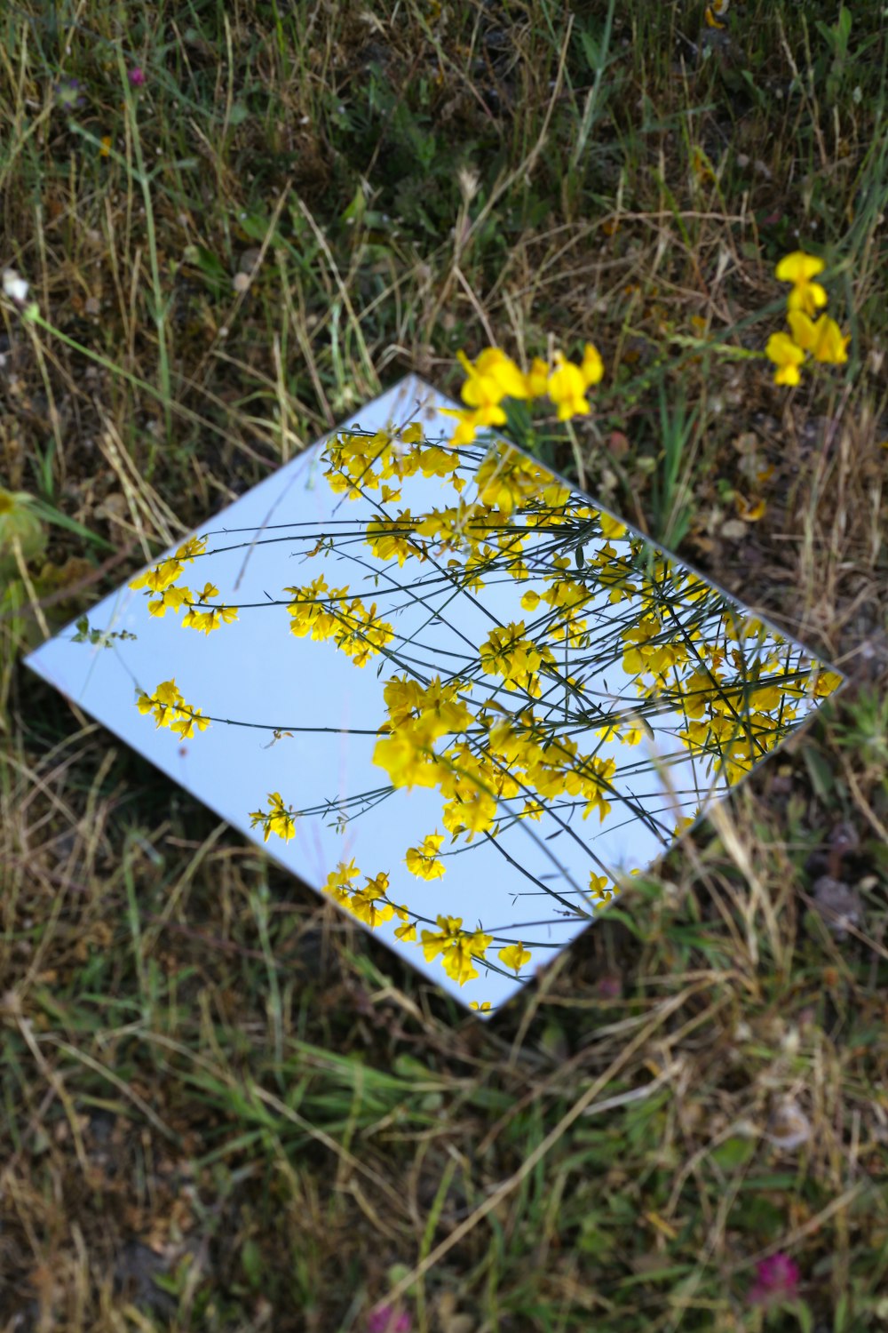 um pedaço de papel com flores amarelas sobre ele