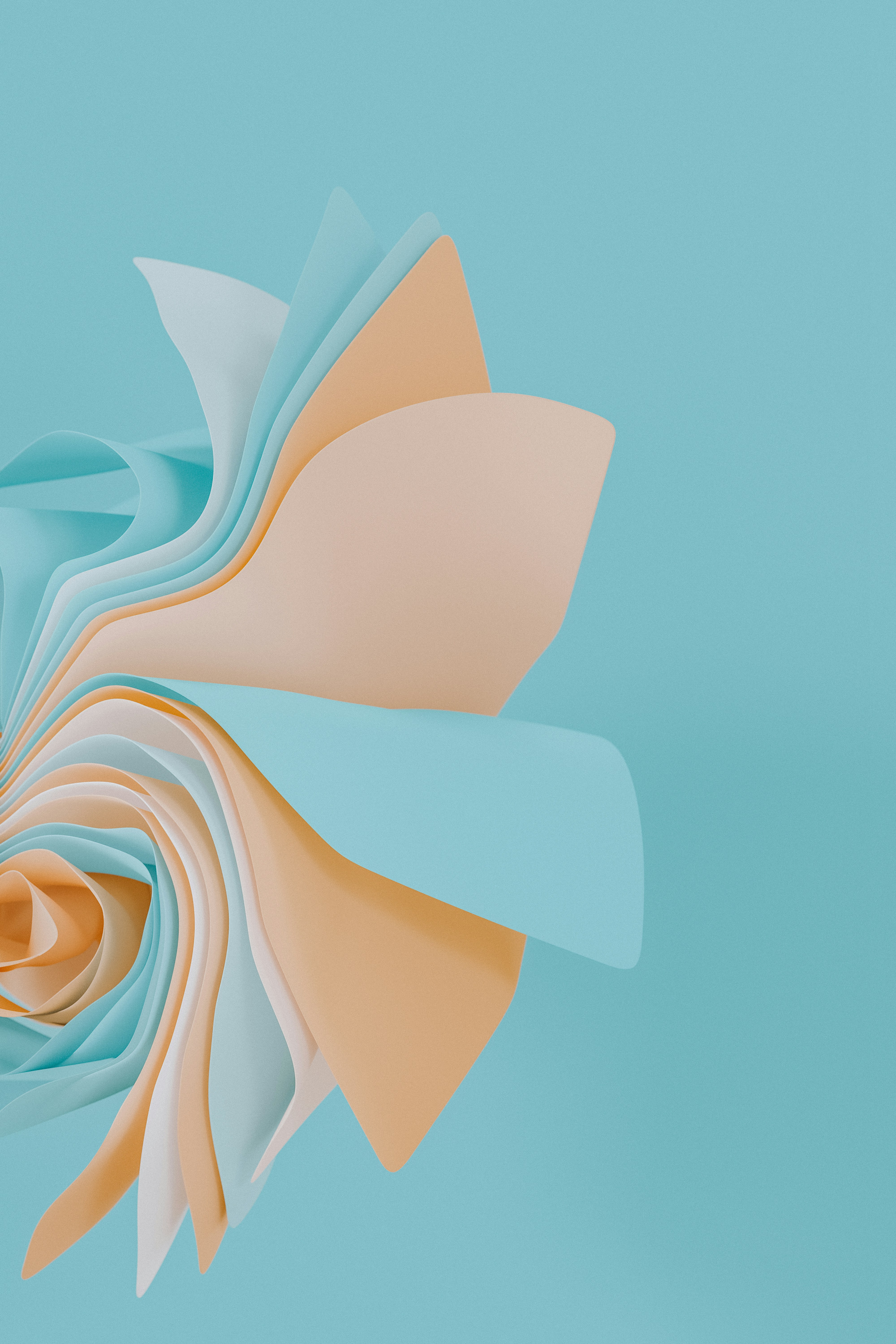 Photo by pawel_czerwinski