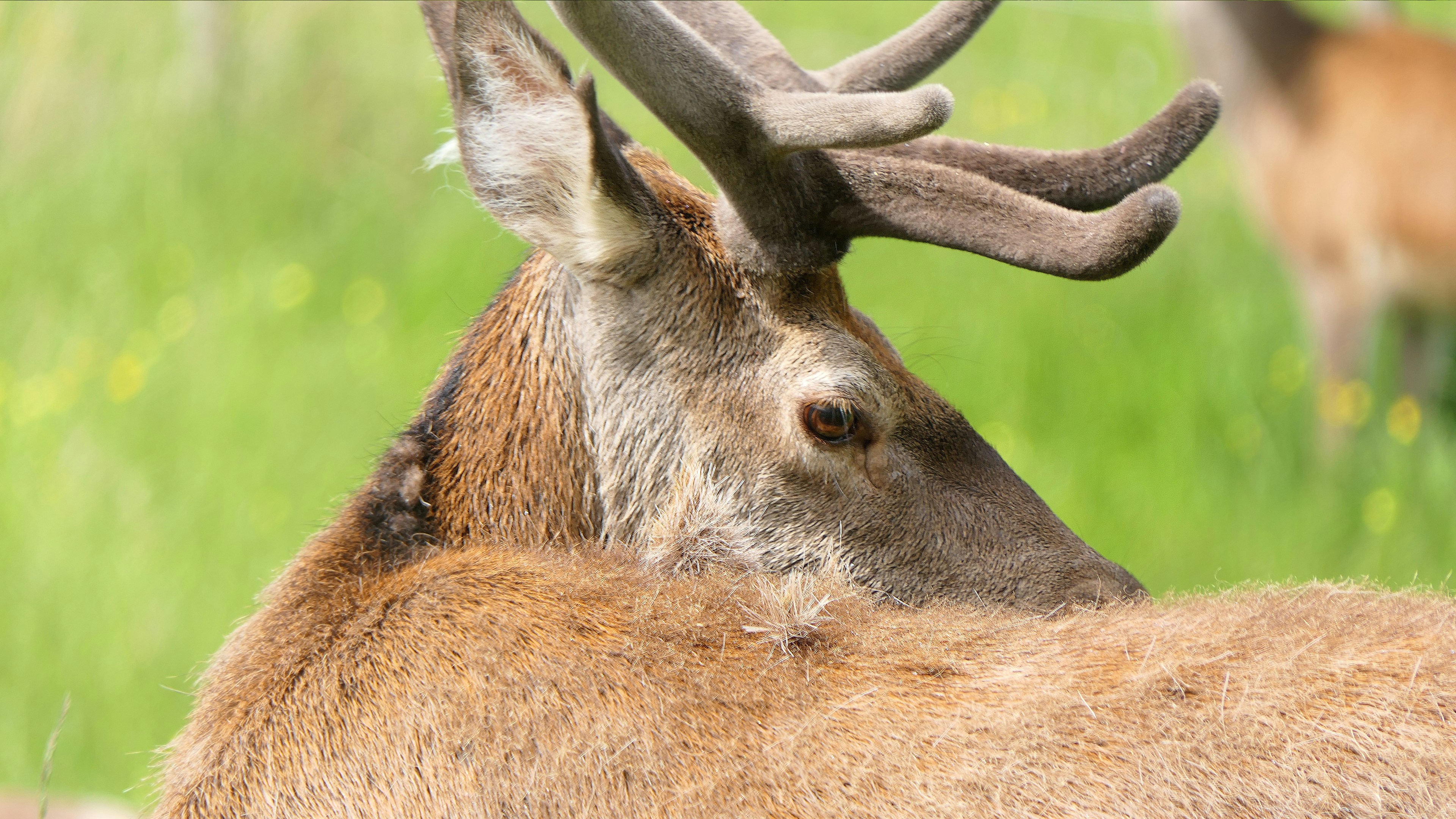 Photo by davidwhite50