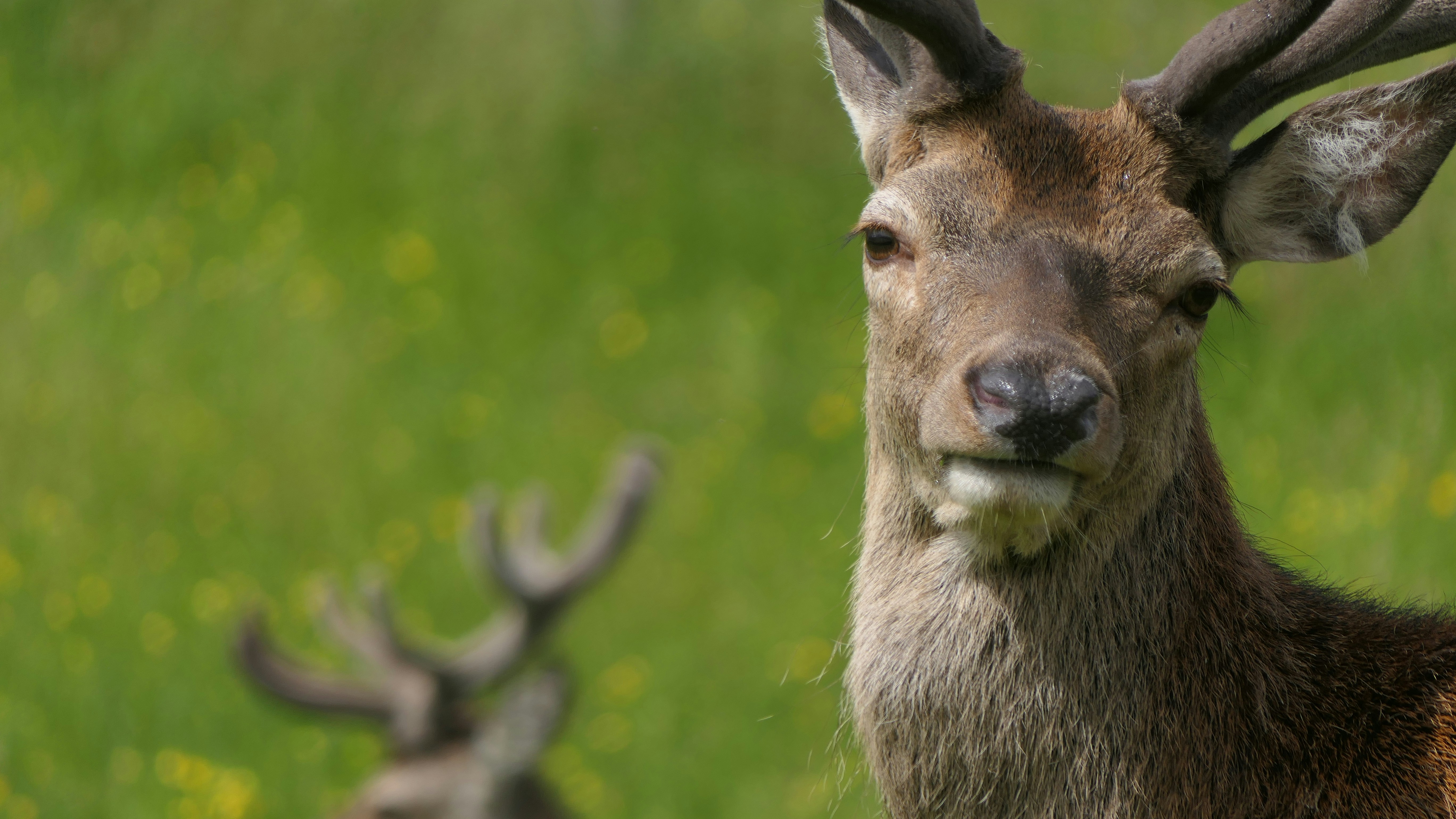 Photo by davidwhite50