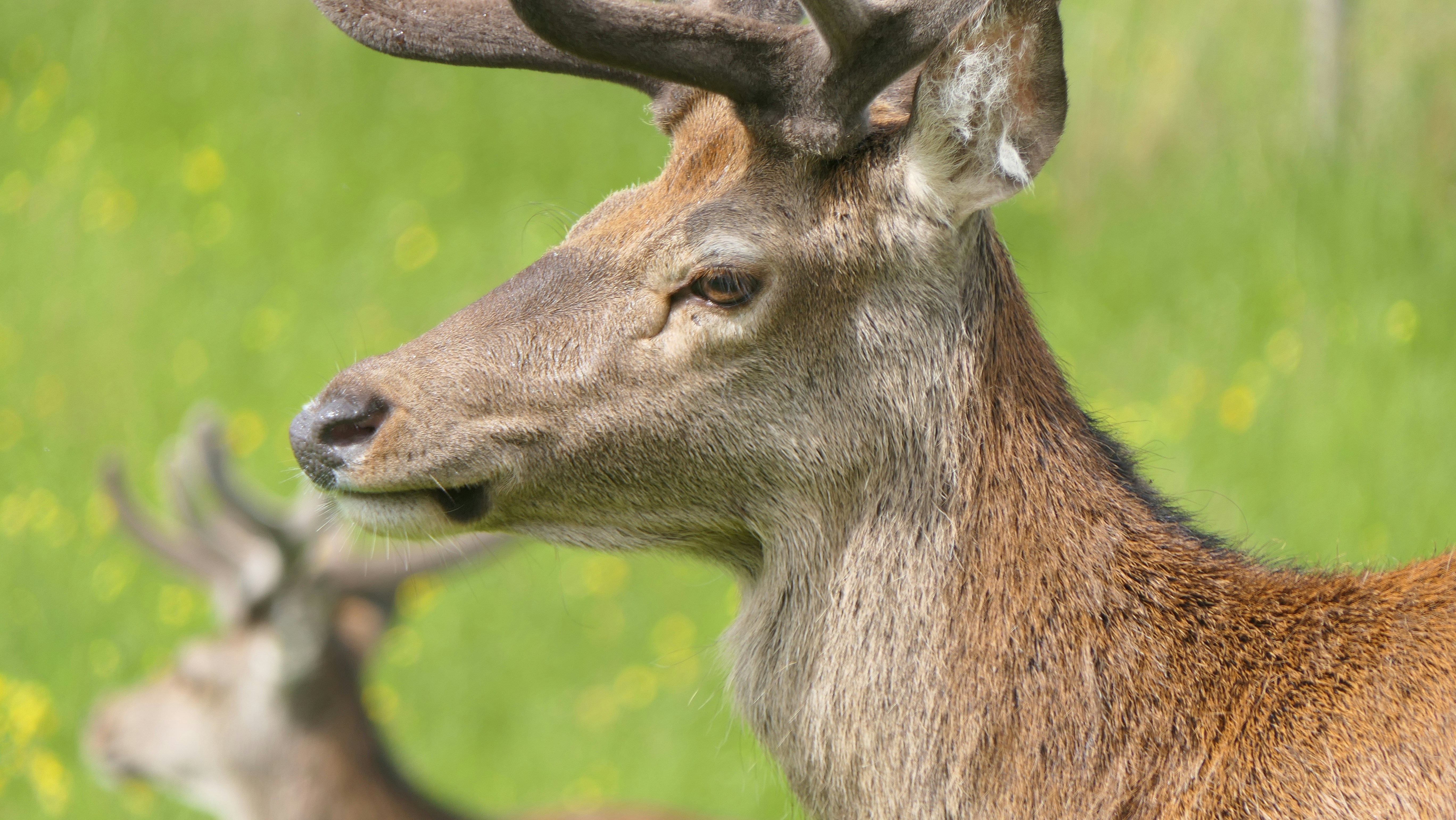 Photo by davidwhite50