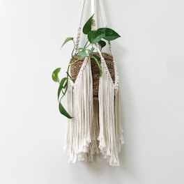 Macrame plant hanger holding a lush green pot, hanging by a window.