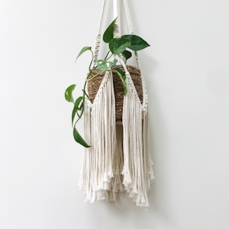Handcrafted macramé plant holder hanging gracefully with a vibrant potted plant inside