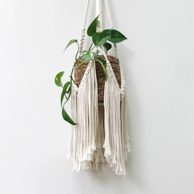 A bohemian-style macrame plant hanger holding a lush green fern in a sunlit corner.