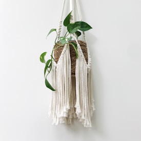 A macrame plant hanger holds a woven basket with trailing green vines. The hanger is made of white cords that form a decorative pattern with long fringes. The plant features broad green leaves with light green variegation.