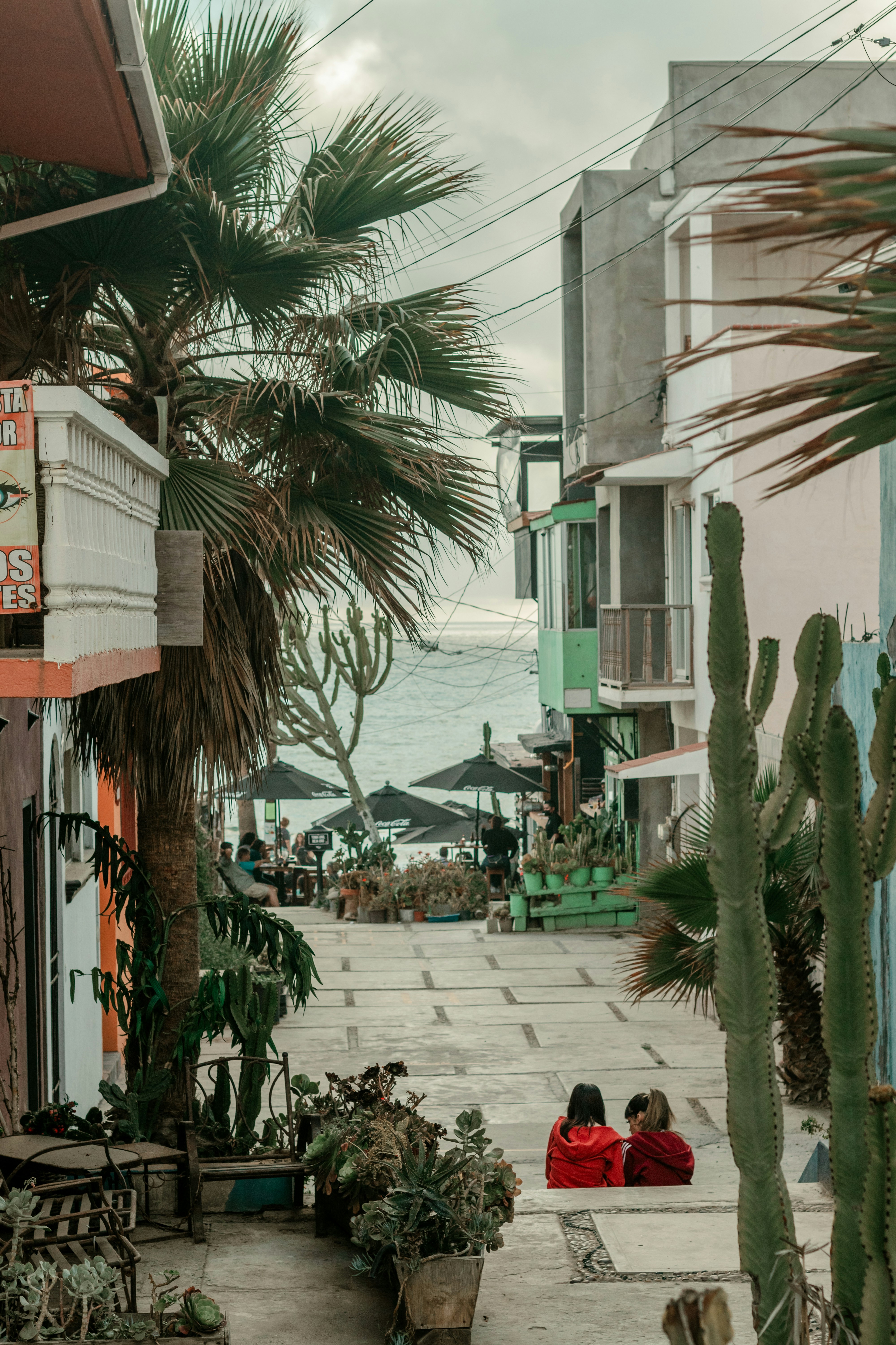 Photo by livingcolortj