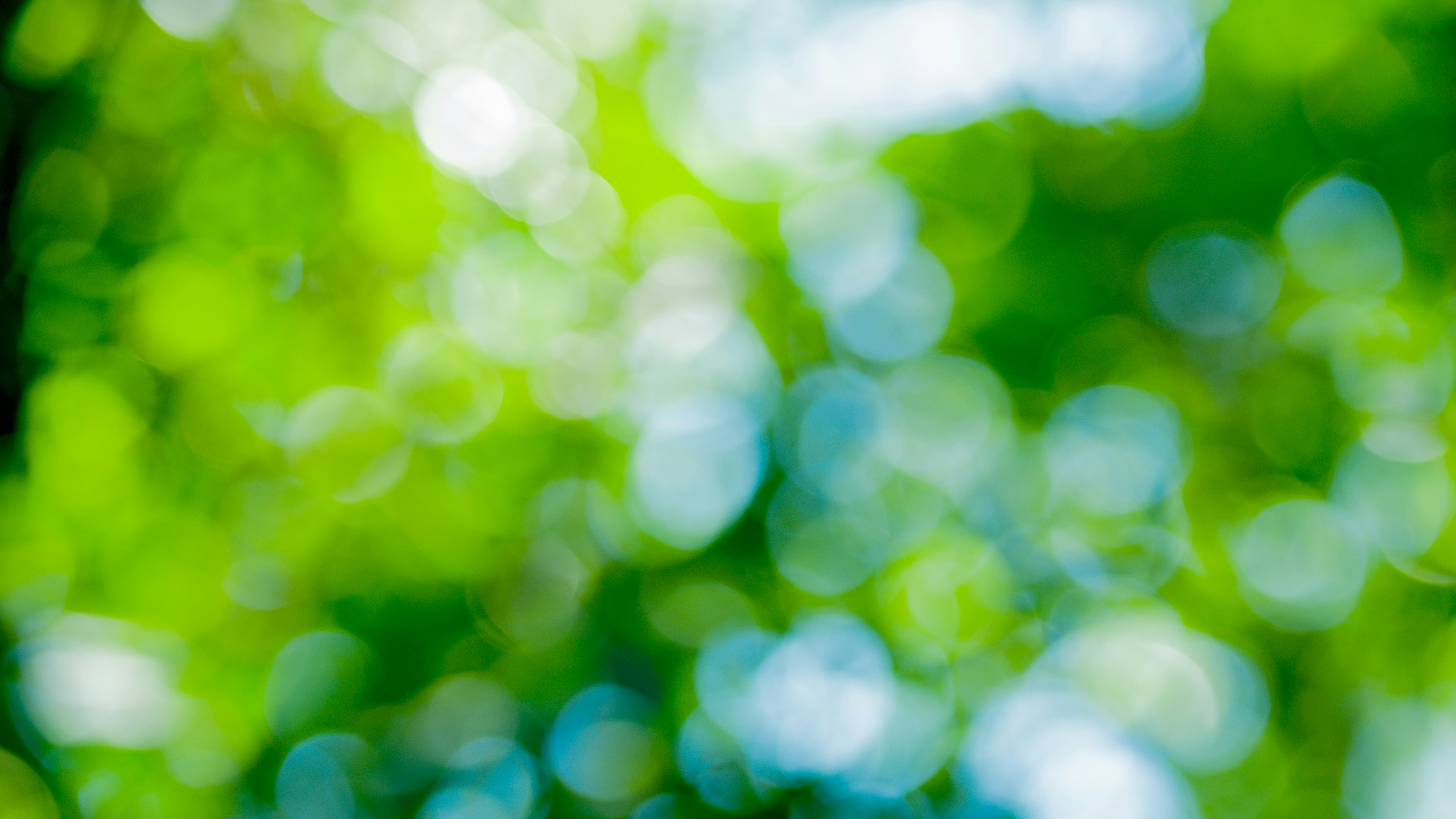 Photo by joseph_royer