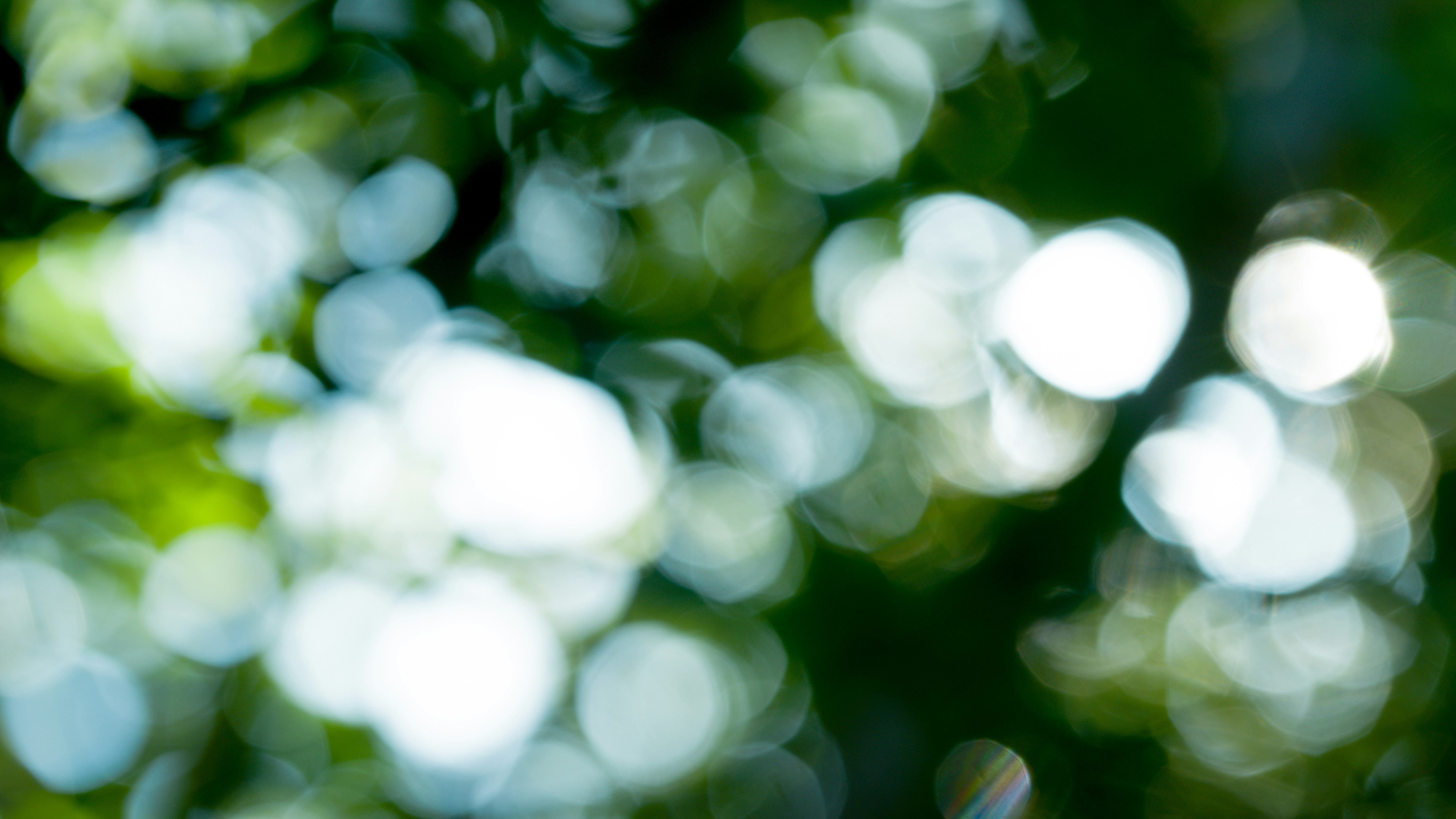 Photo by joseph_royer