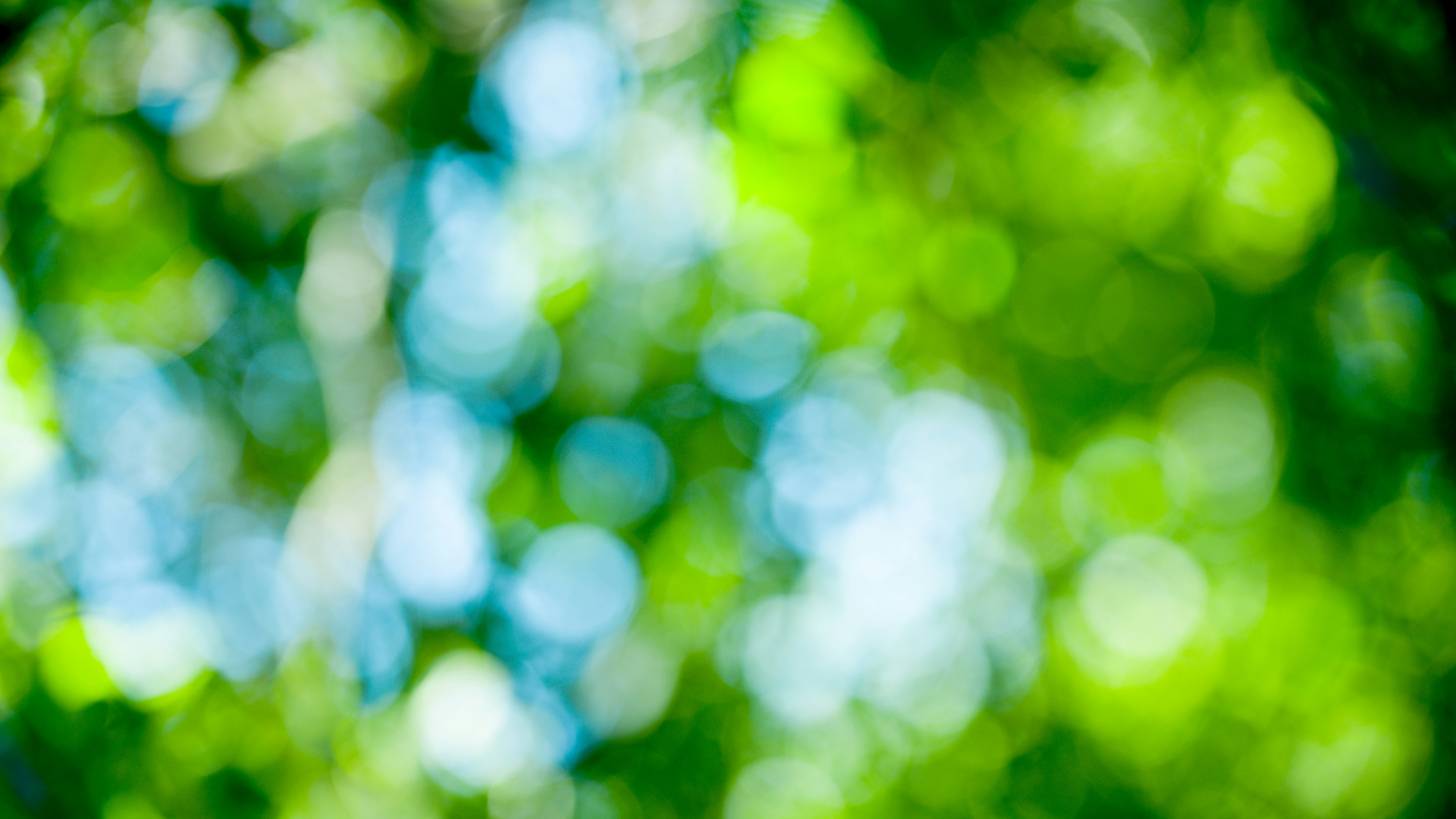 Photo by joseph_royer