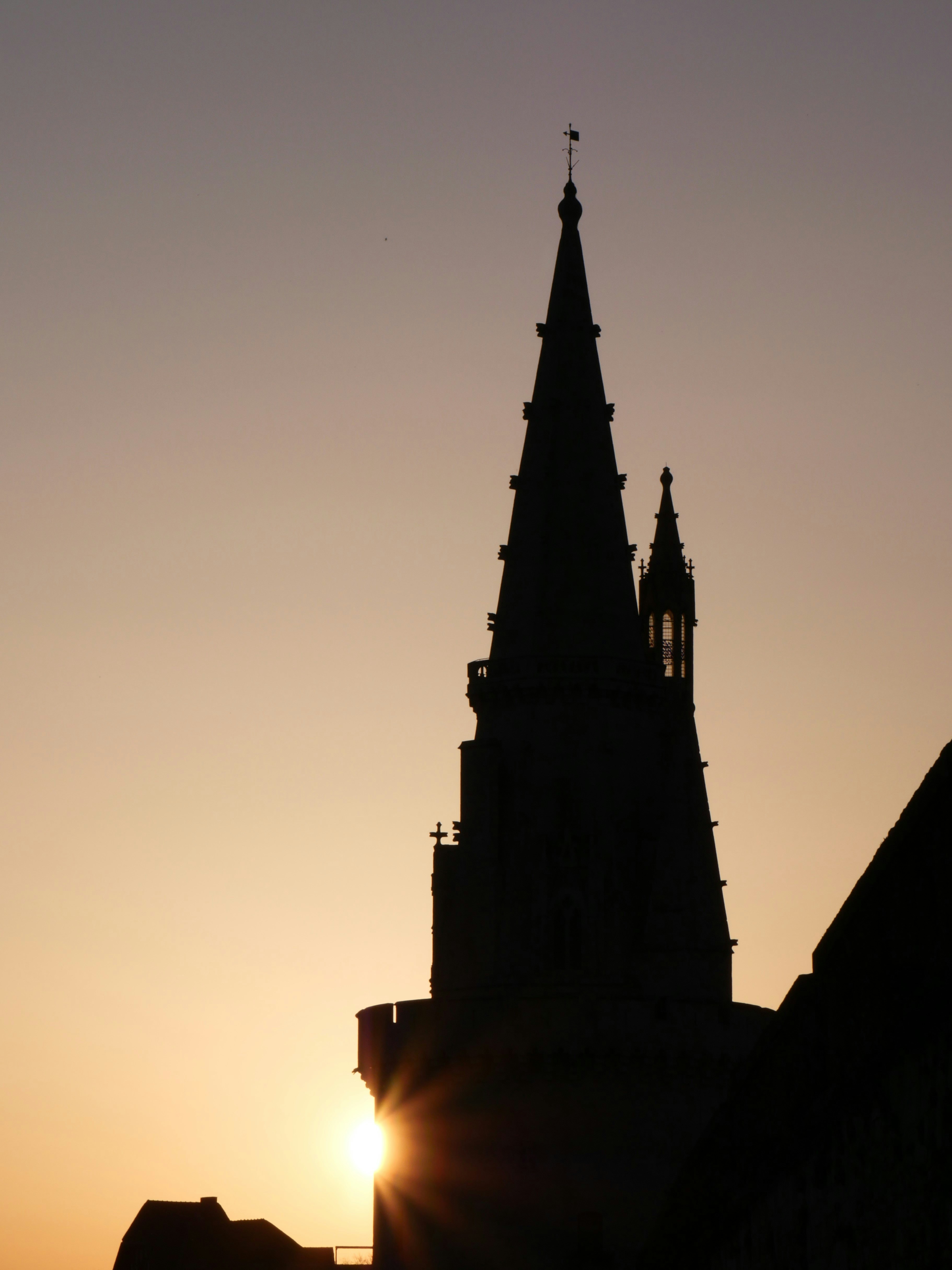 Photo by nimbus_vulpis