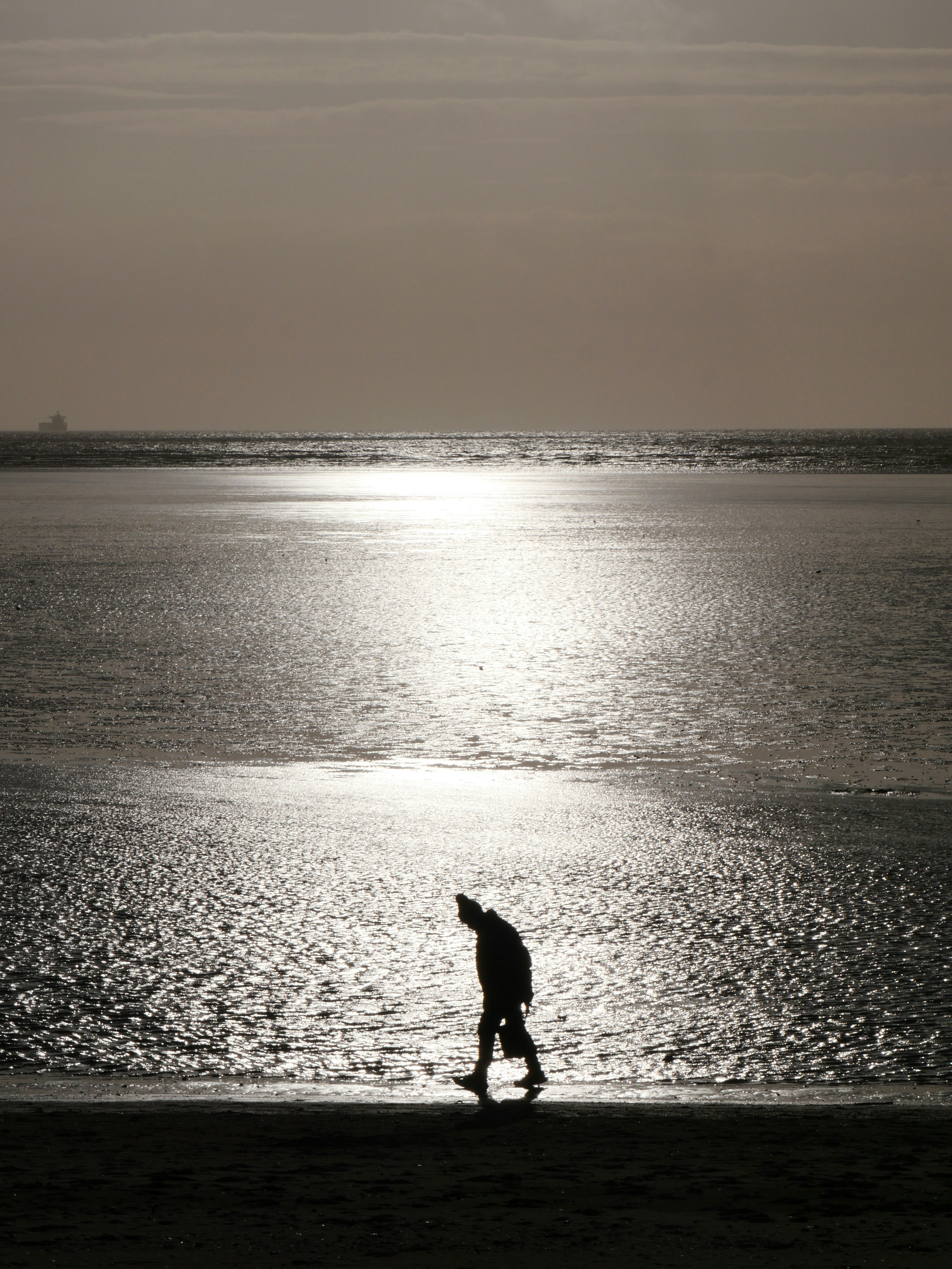 Photo by nimbus_vulpis