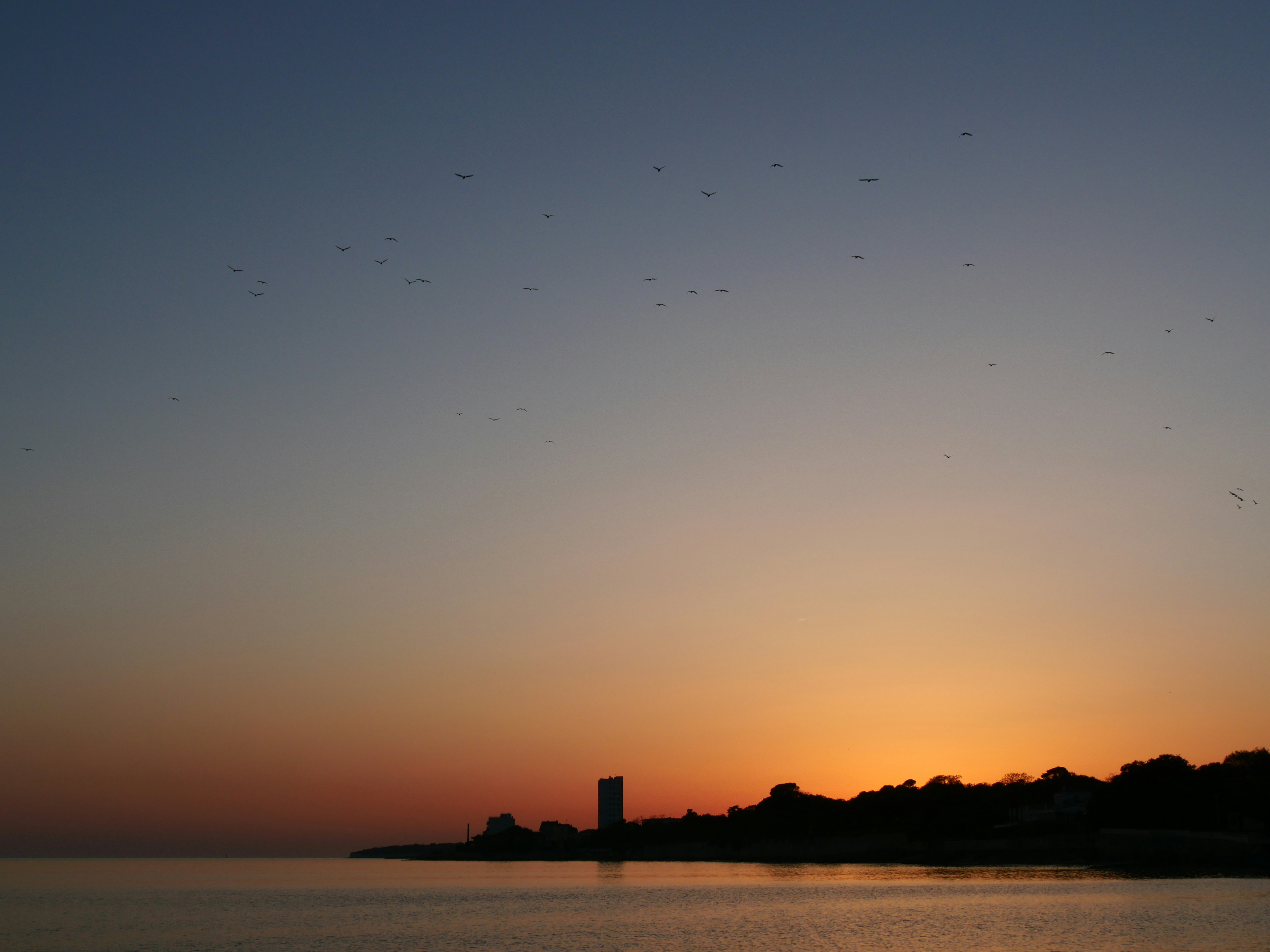 Photo by nimbus_vulpis