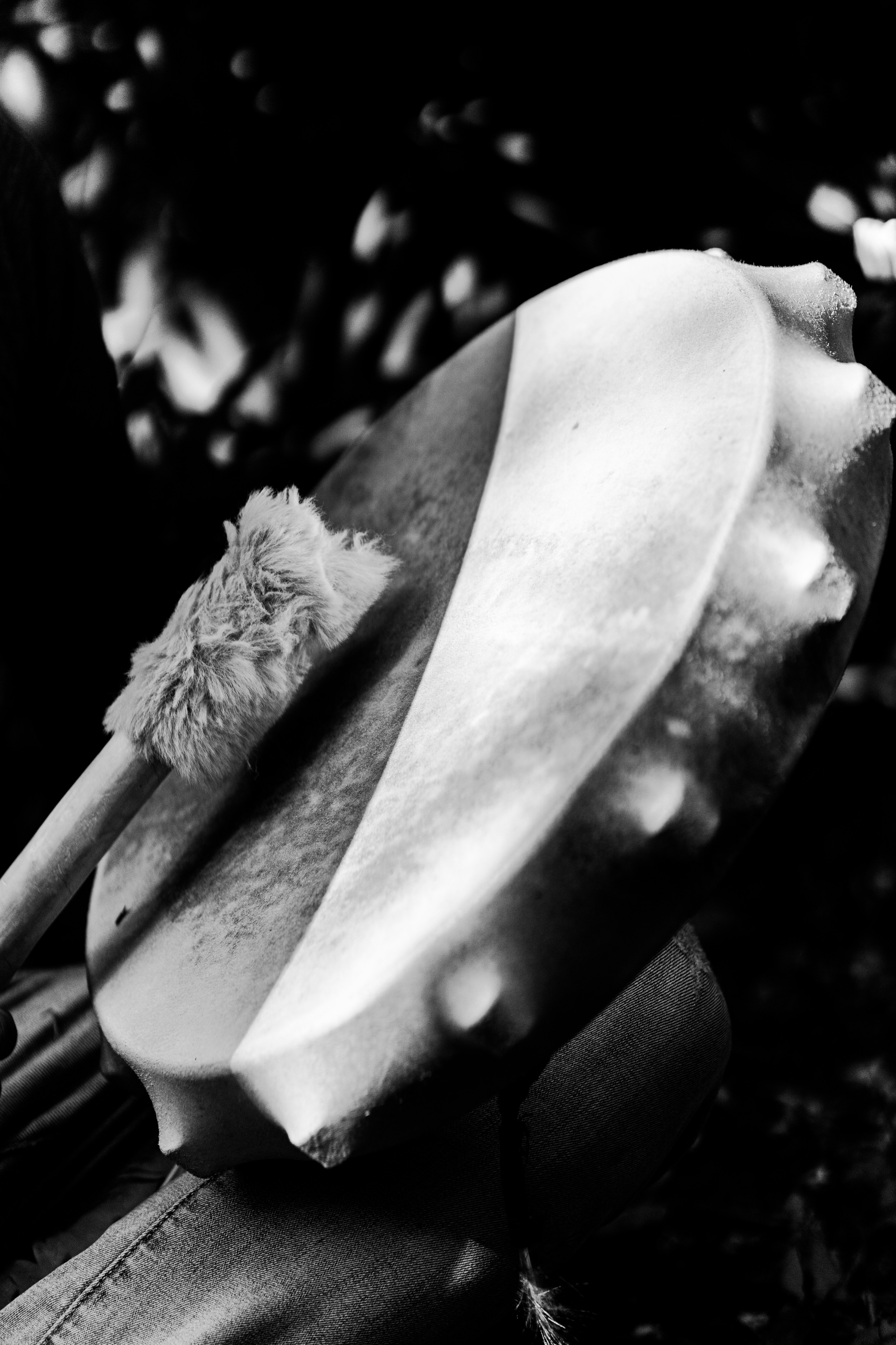 Photo by viktor_snaps