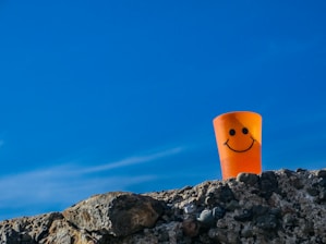 a plastic cup with a smiley face on top of a rock