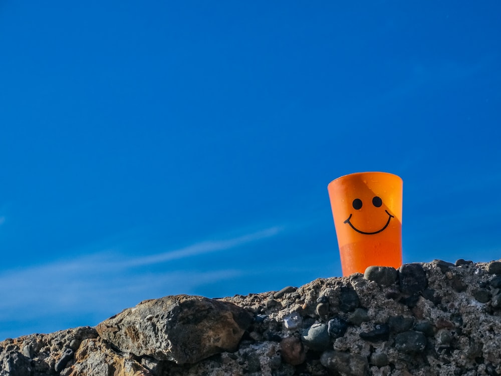 a plastic cup with a smiley face on top of a rock